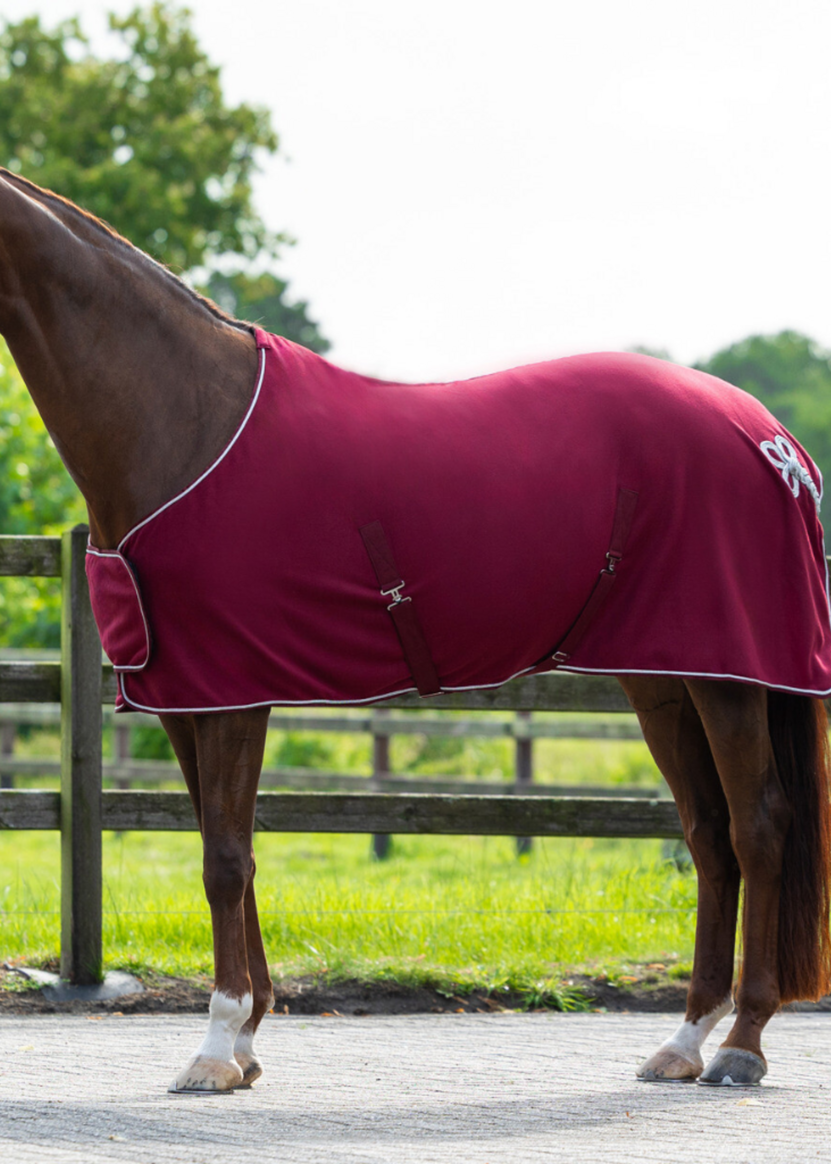 QHP QHP Fleece Ornament  Deken 6014