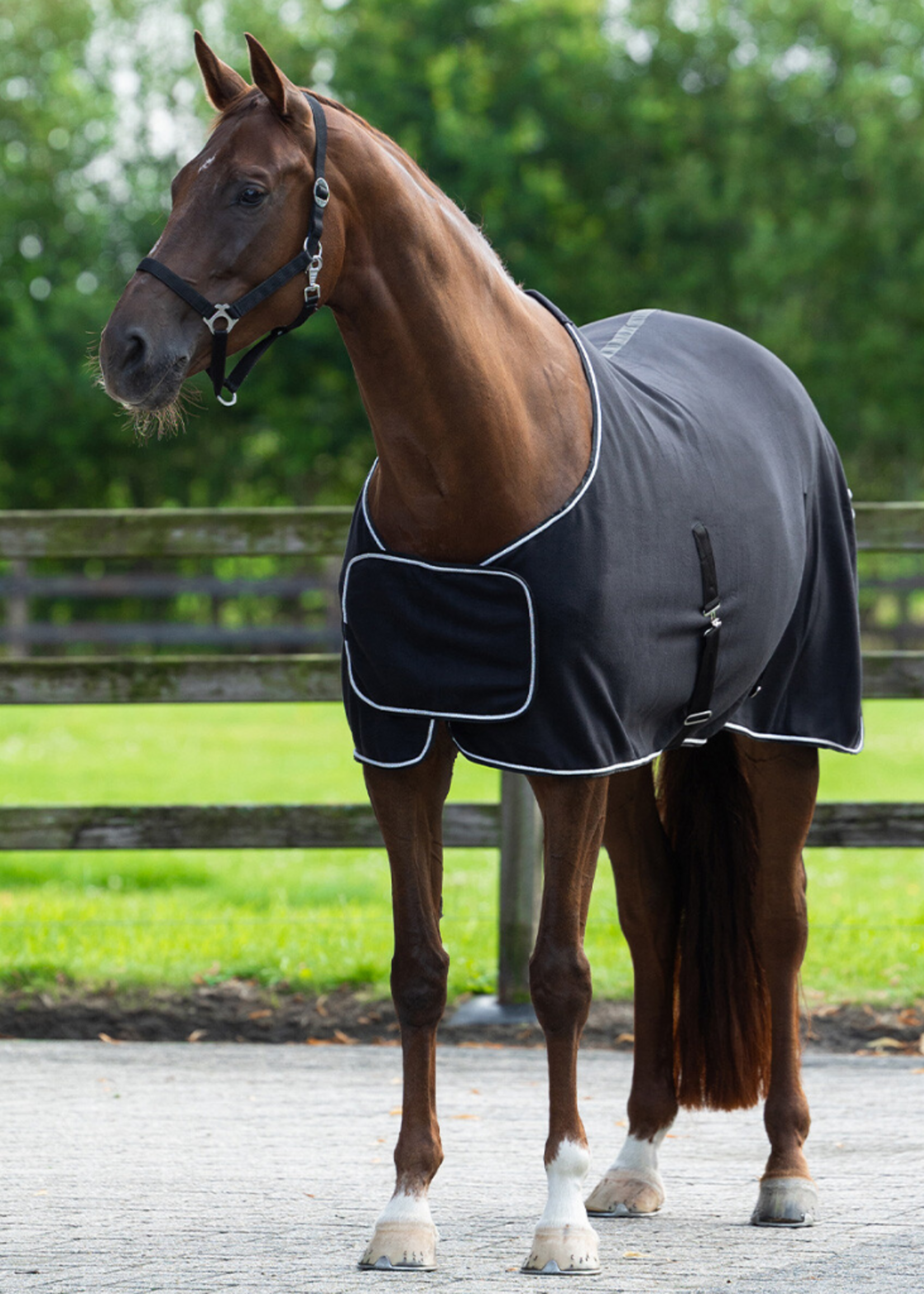 QHP QHP Fleece Ornament  Deken 6014