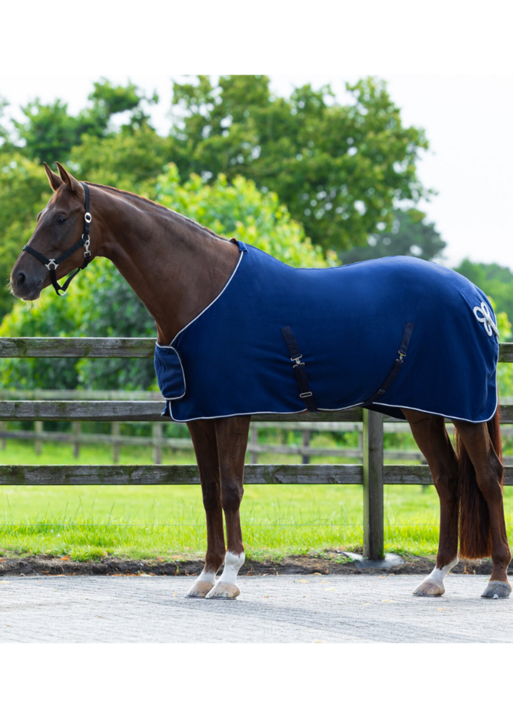 QHP QHP Fleece Ornament  Deken 6014