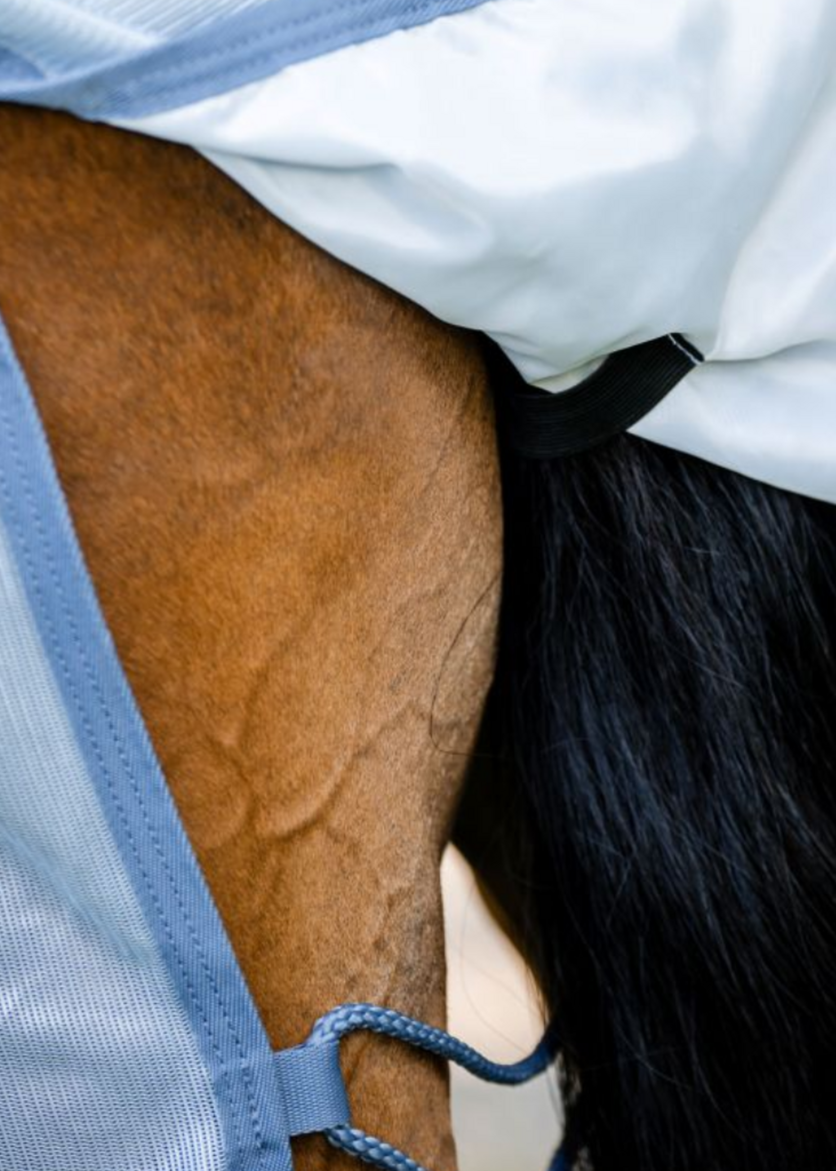 Horseware Horseware Amigo Integrated Vliegen Deken