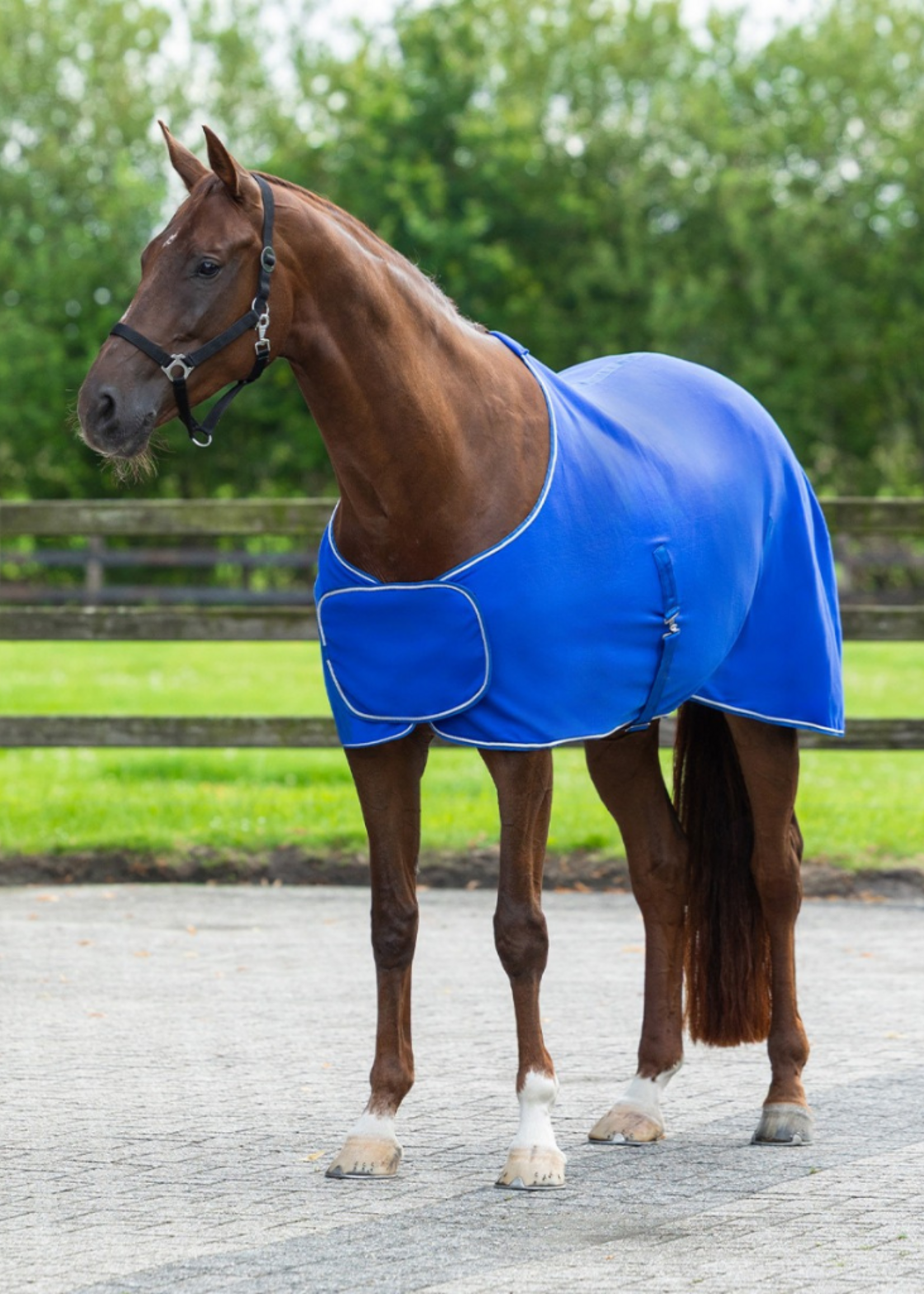 QHP QHP Basis Fleece Ornament Pony Deken  6014