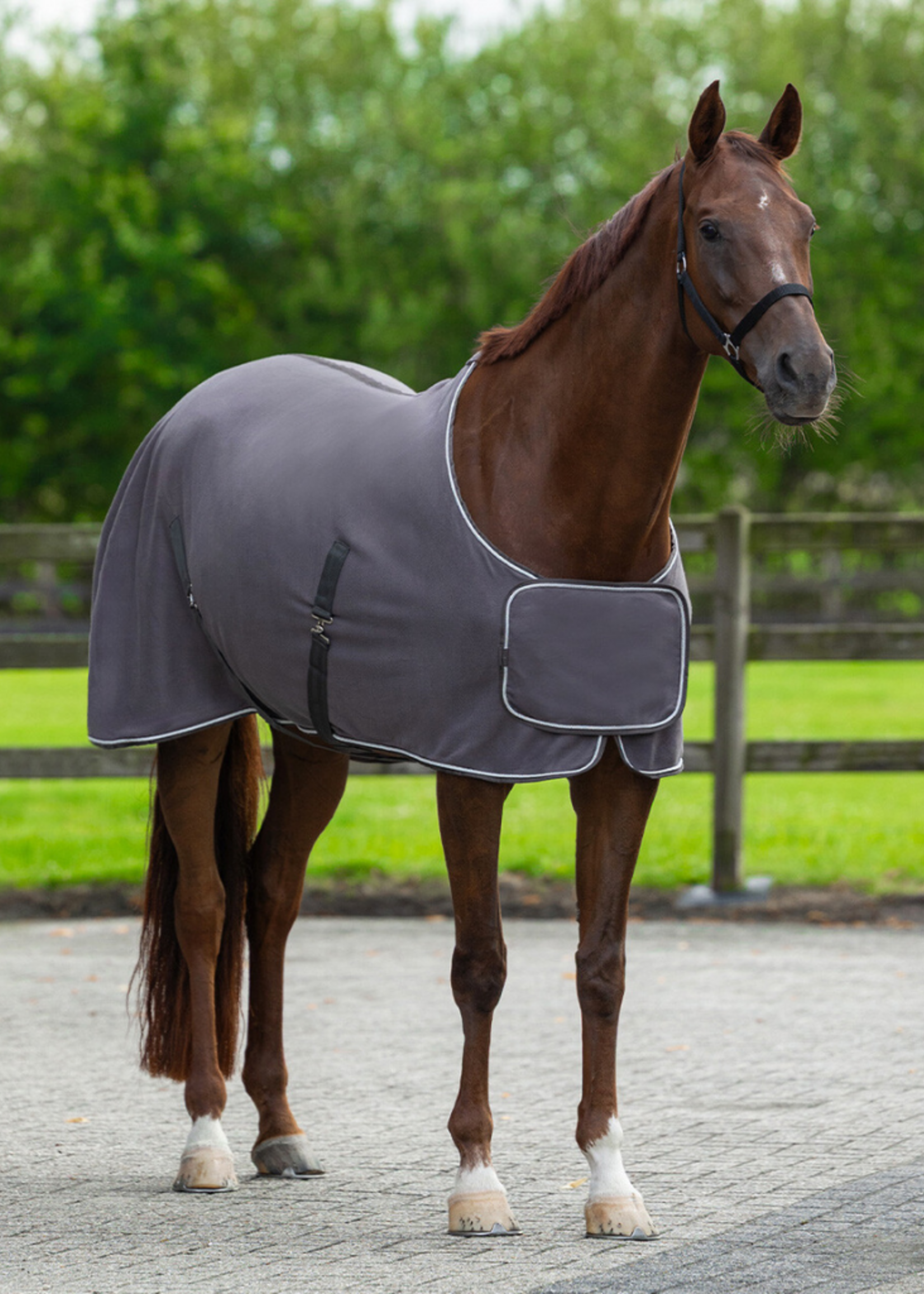 QHP QHP Basis Fleece Ornament Pony Deken  6014