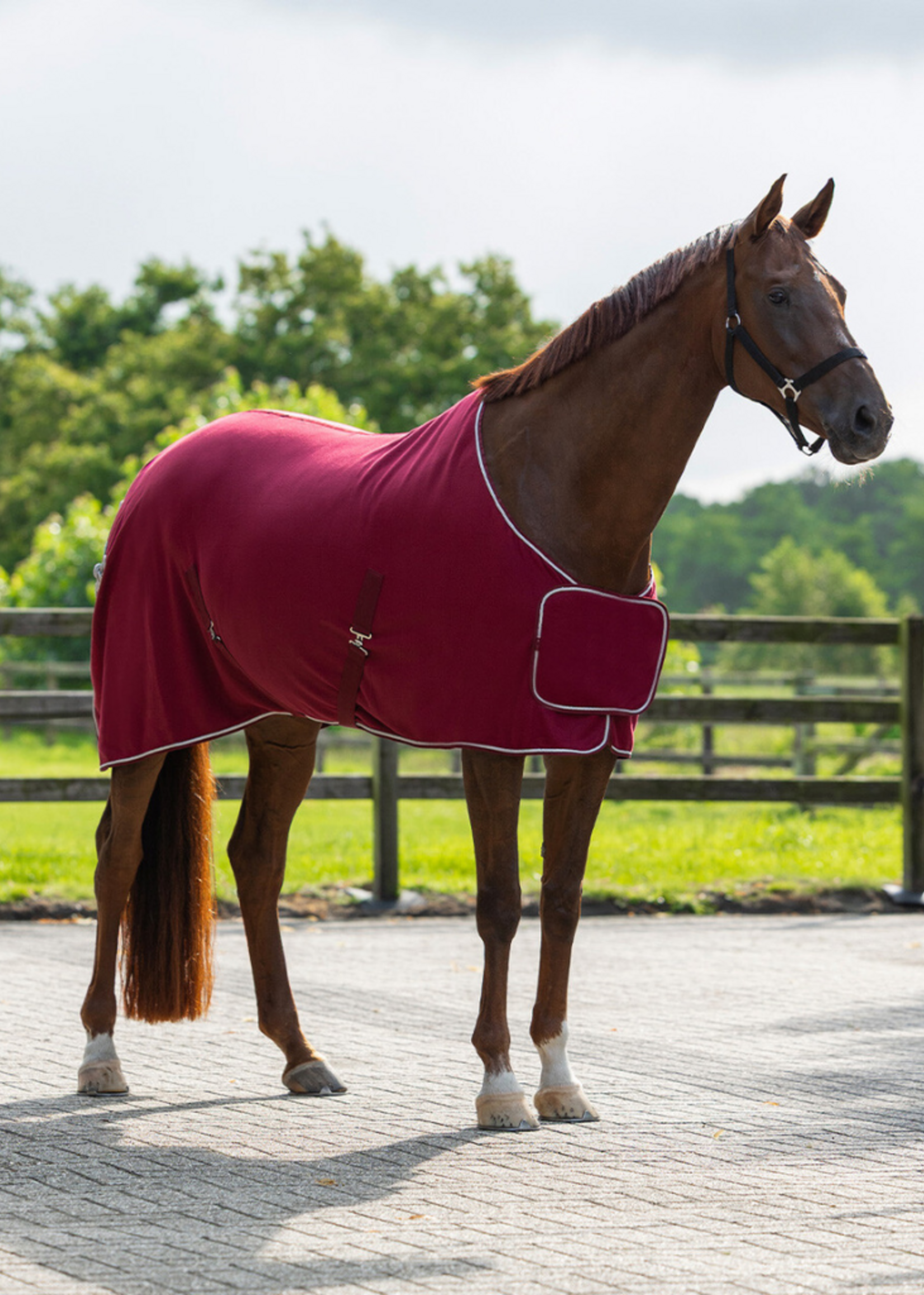 QHP QHP Basis Fleece Ornament Pony Deken  6014
