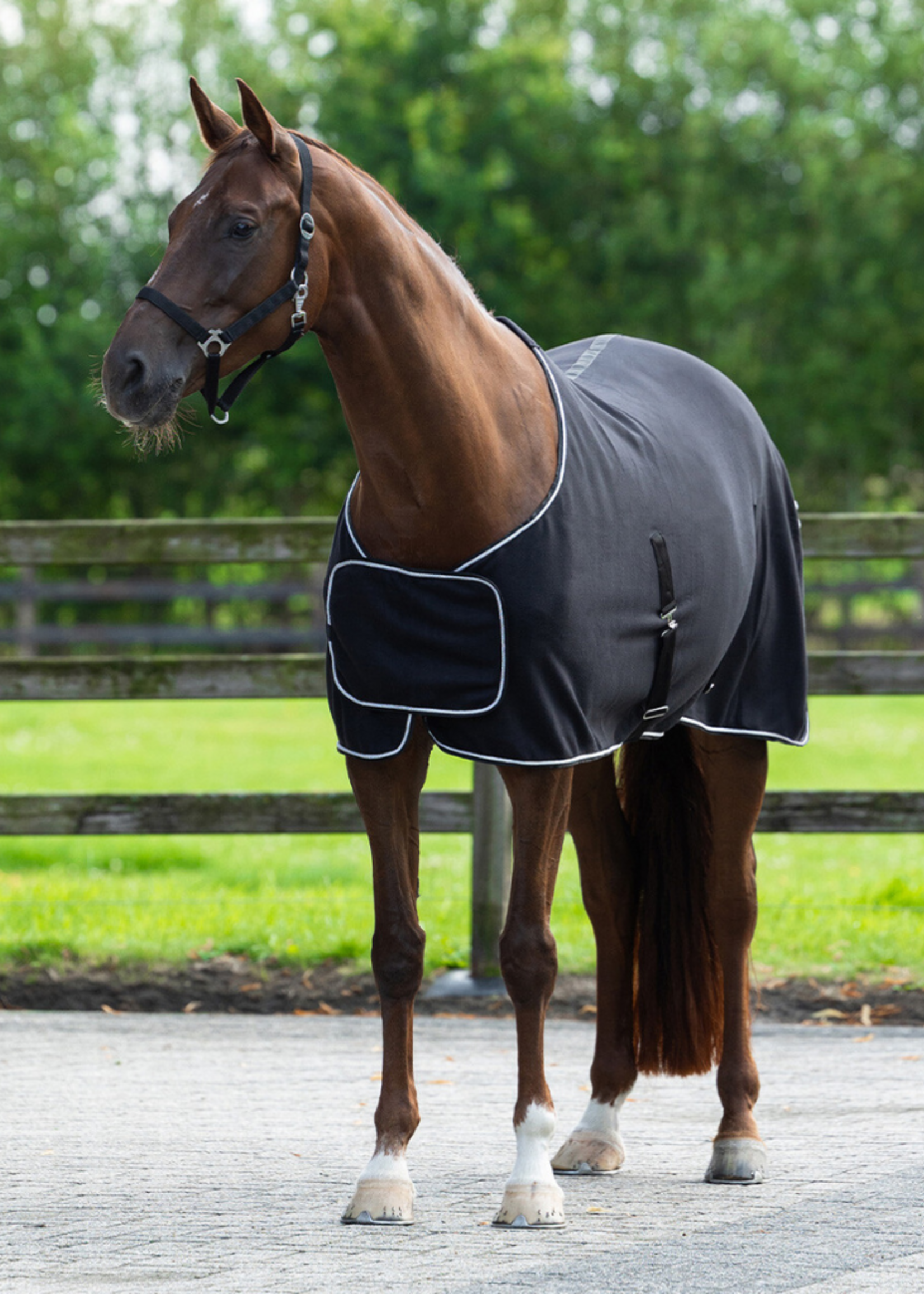 QHP QHP Basis Fleece Ornament Pony Deken  6014