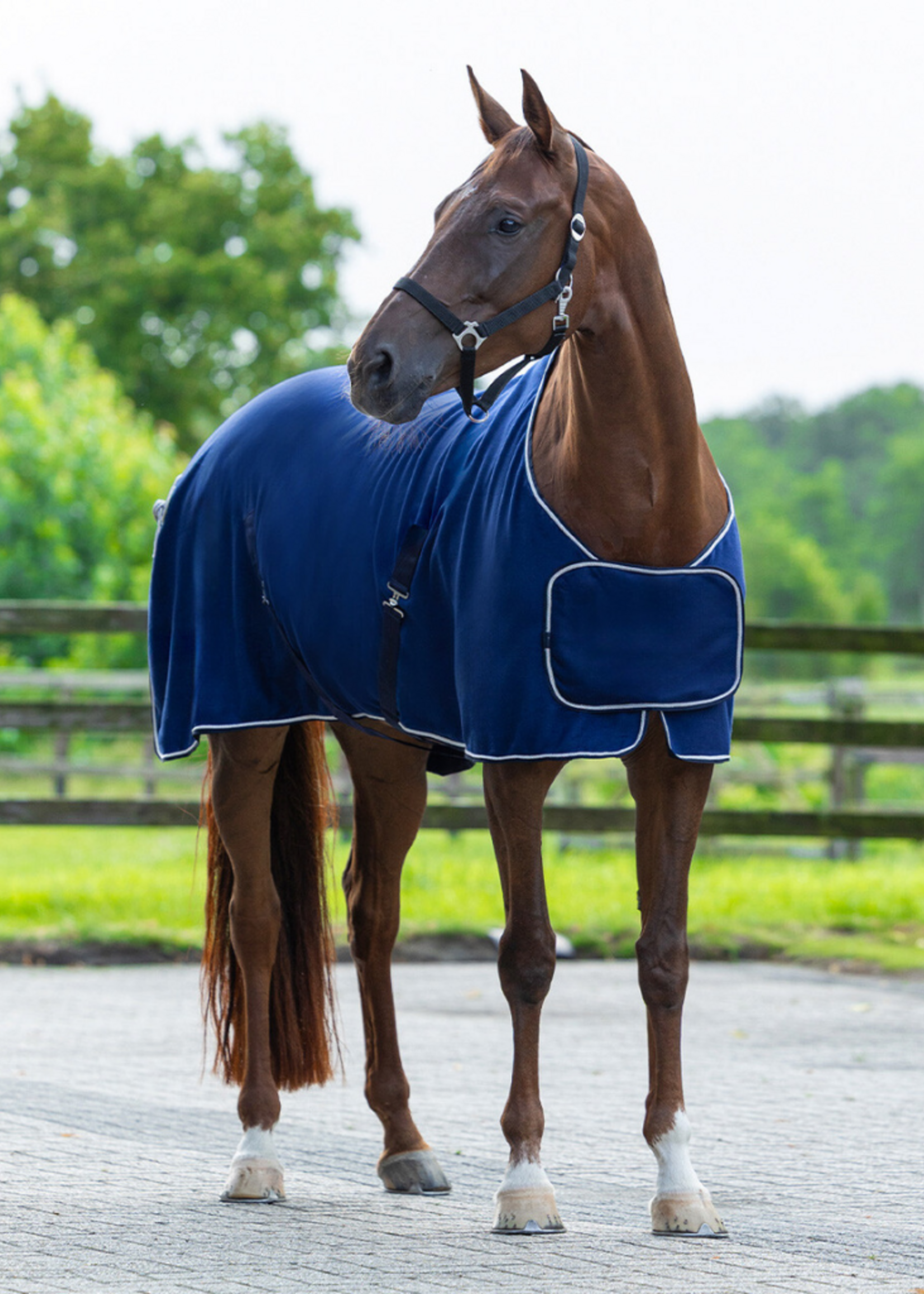 QHP QHP Basis Fleece Ornament Pony Deken  6014