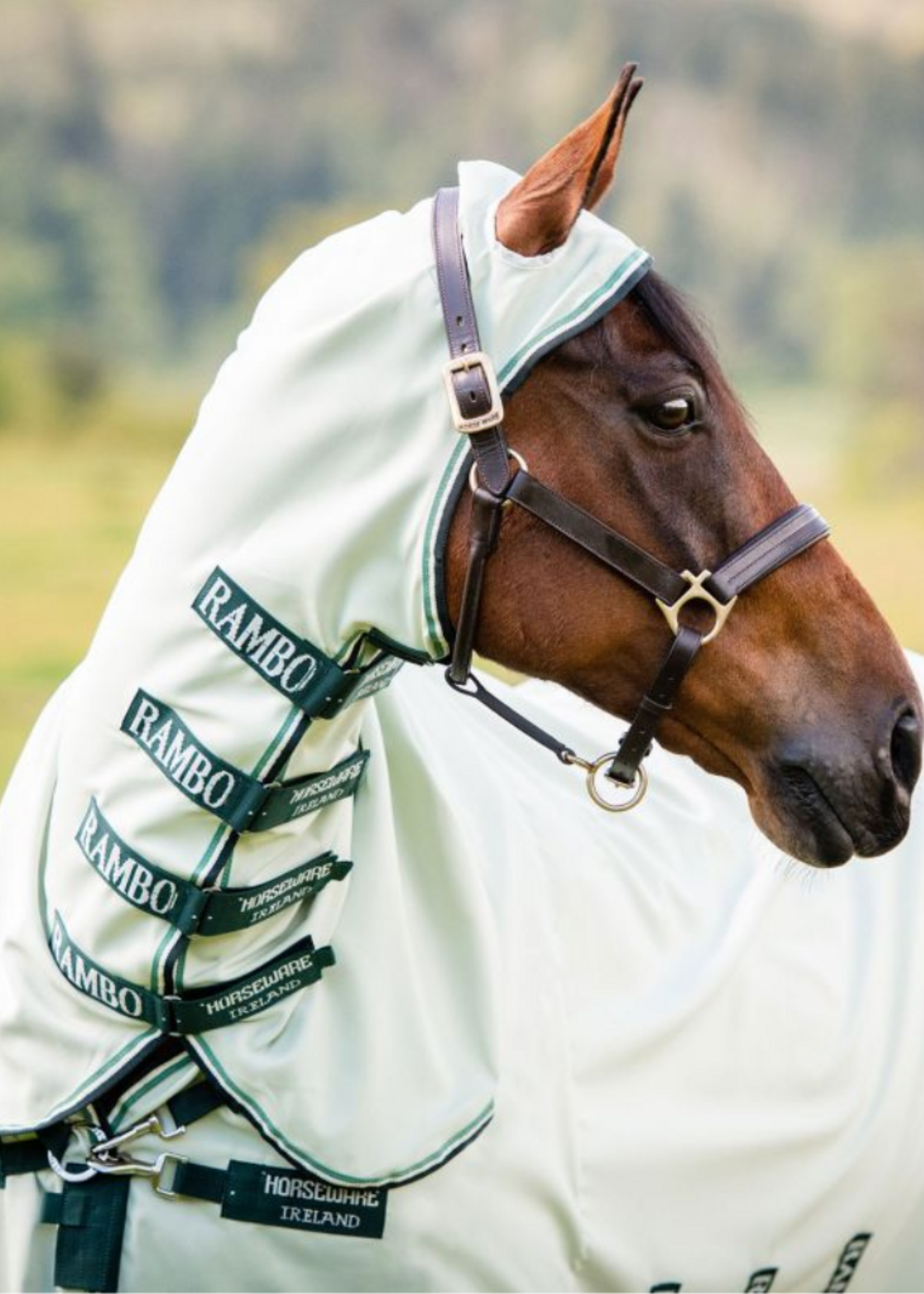 Horseware Horseware  Rambo Hoody Eczeem Deken