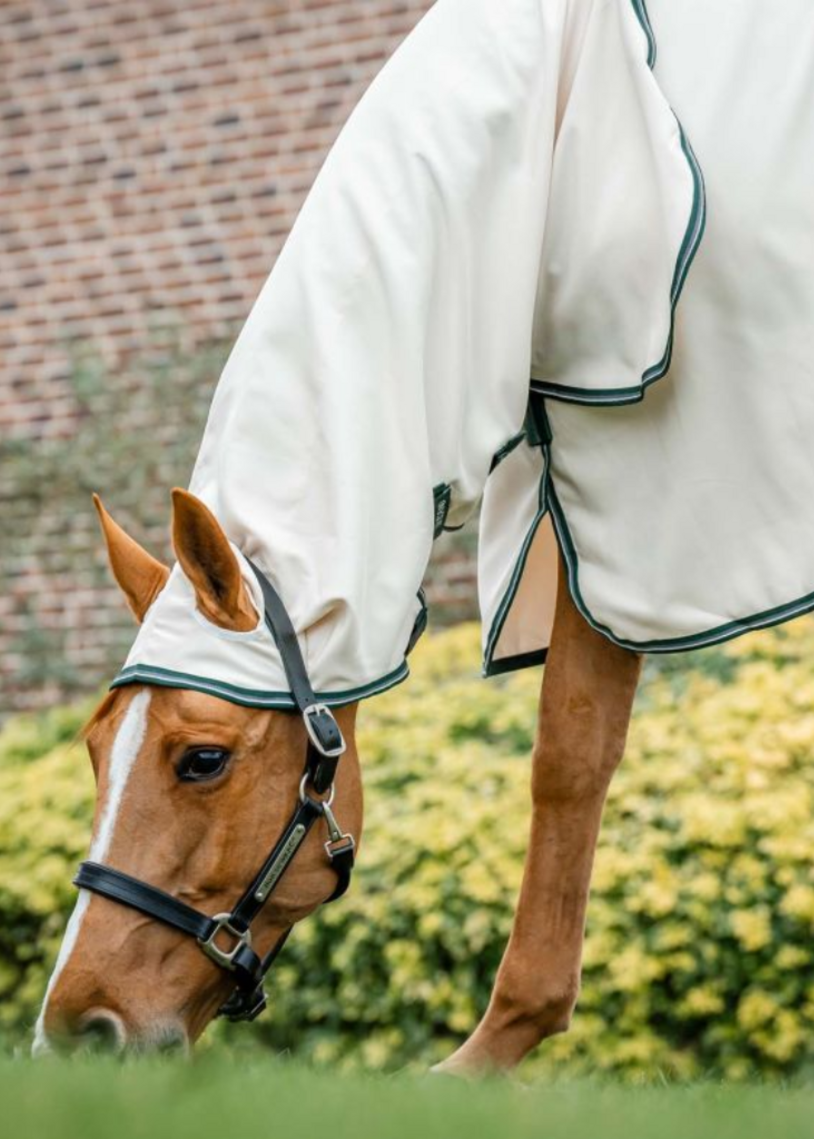 Horseware Horseware  Rambo Hoody Eczeem Deken