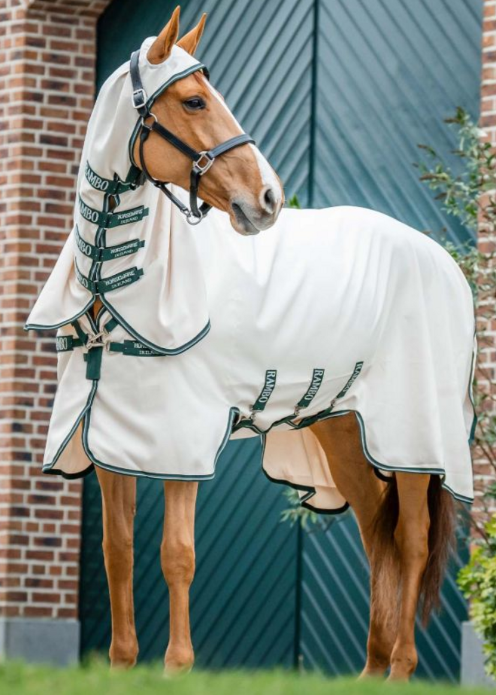 Horseware Horseware  Rambo Hoody Eczeem Deken