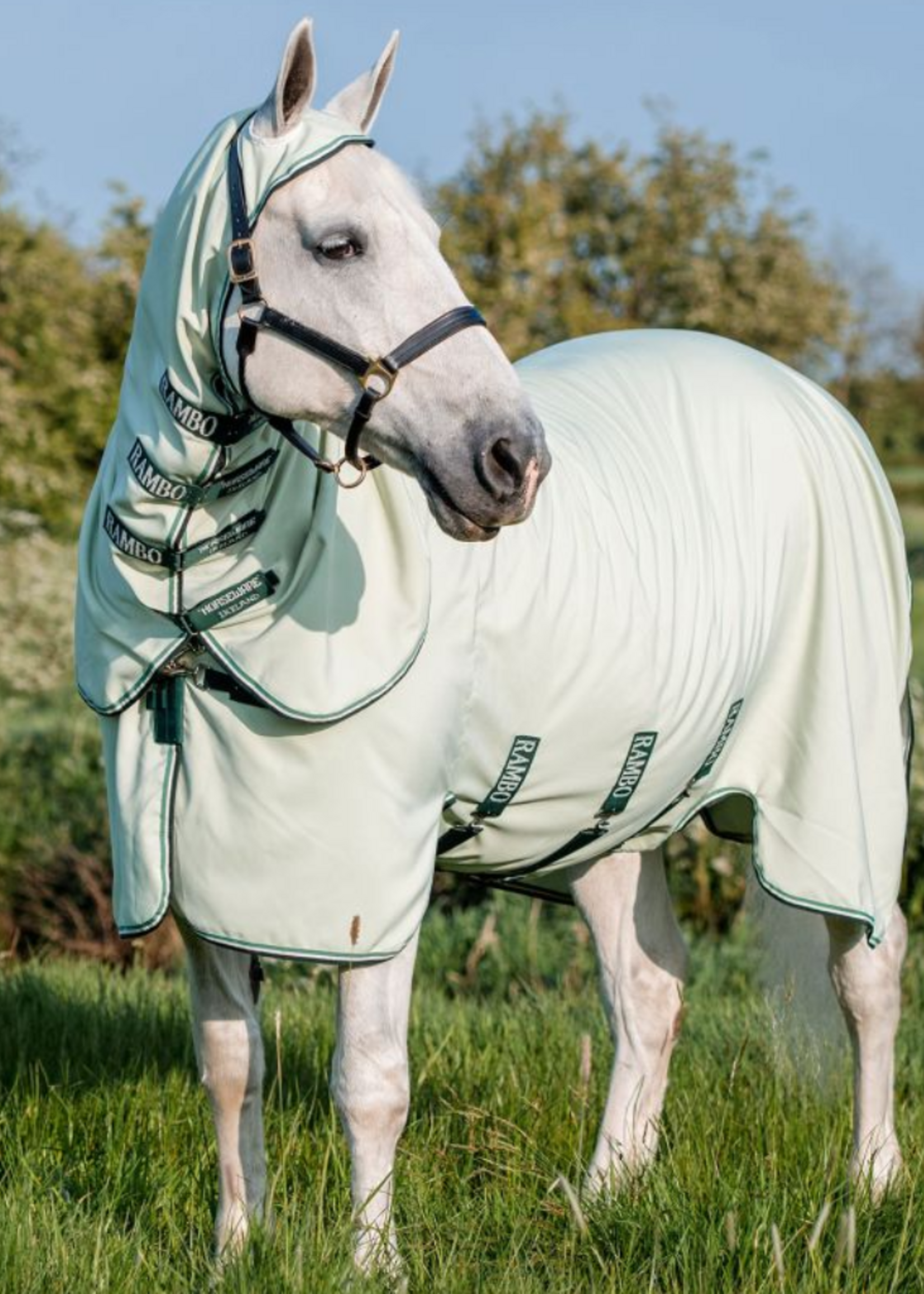 Horseware Horseware  Rambo Hoody XL eczeem deken
