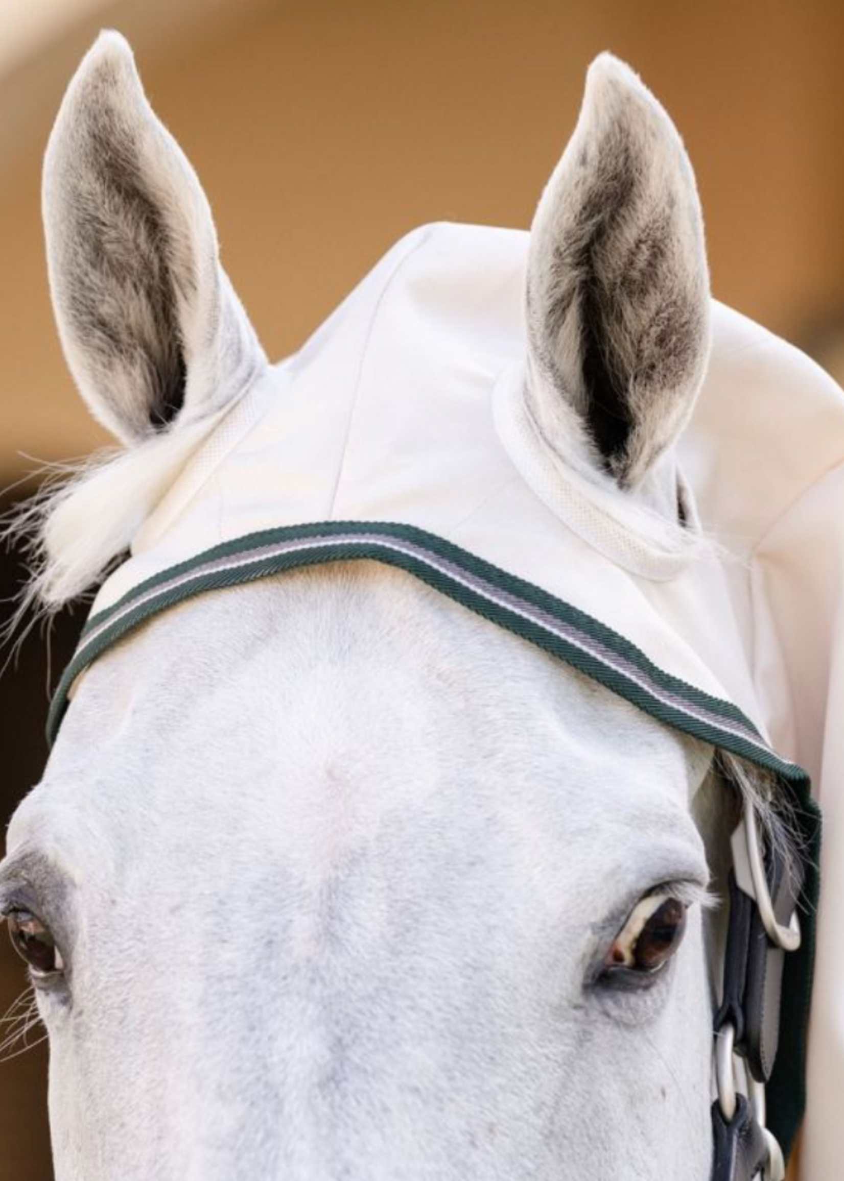 Horseware Horseware  Rambo Hoody XL eczeem deken