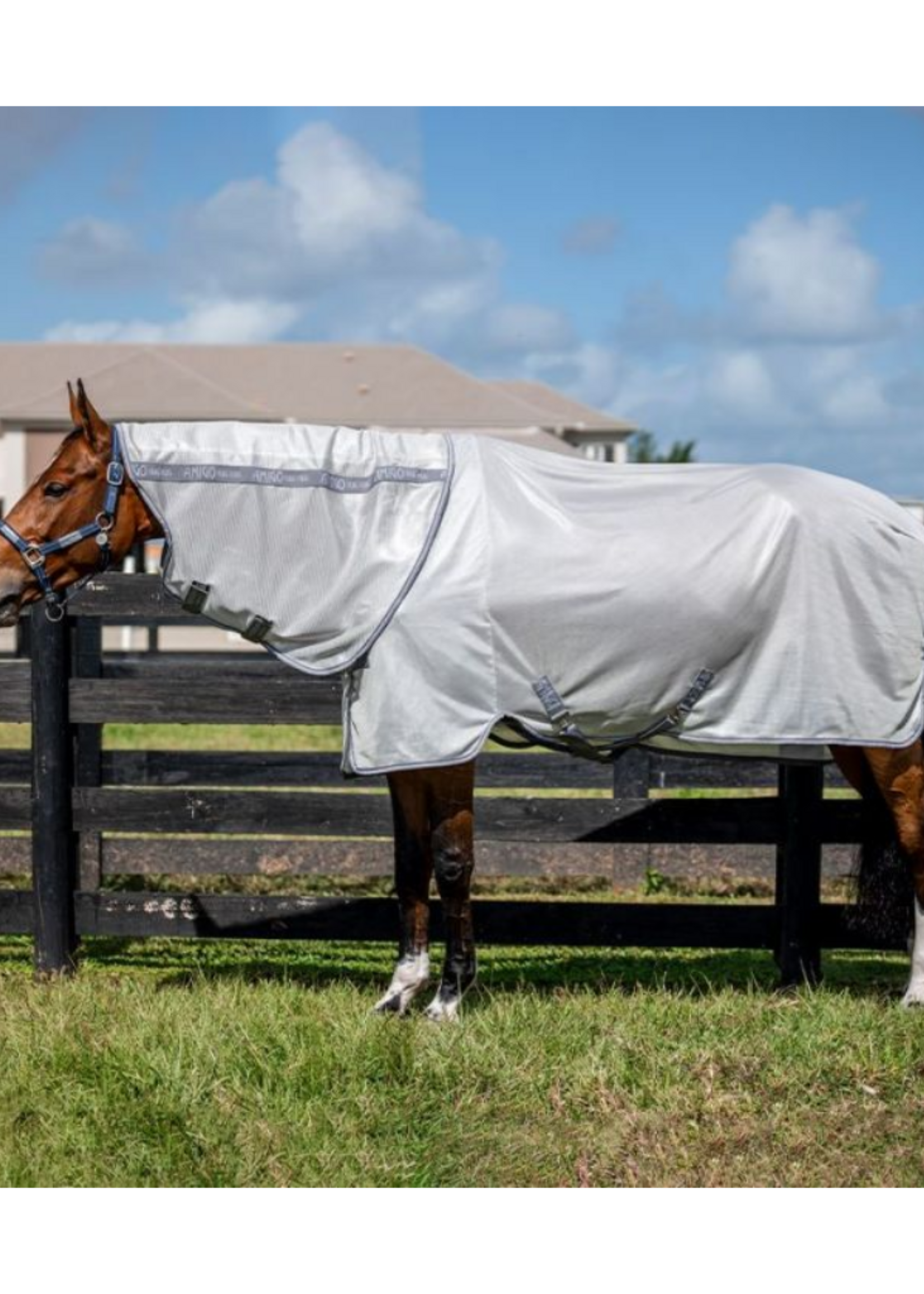 Horseware Horsewarre Amigo Bug Rug Vliegendeken