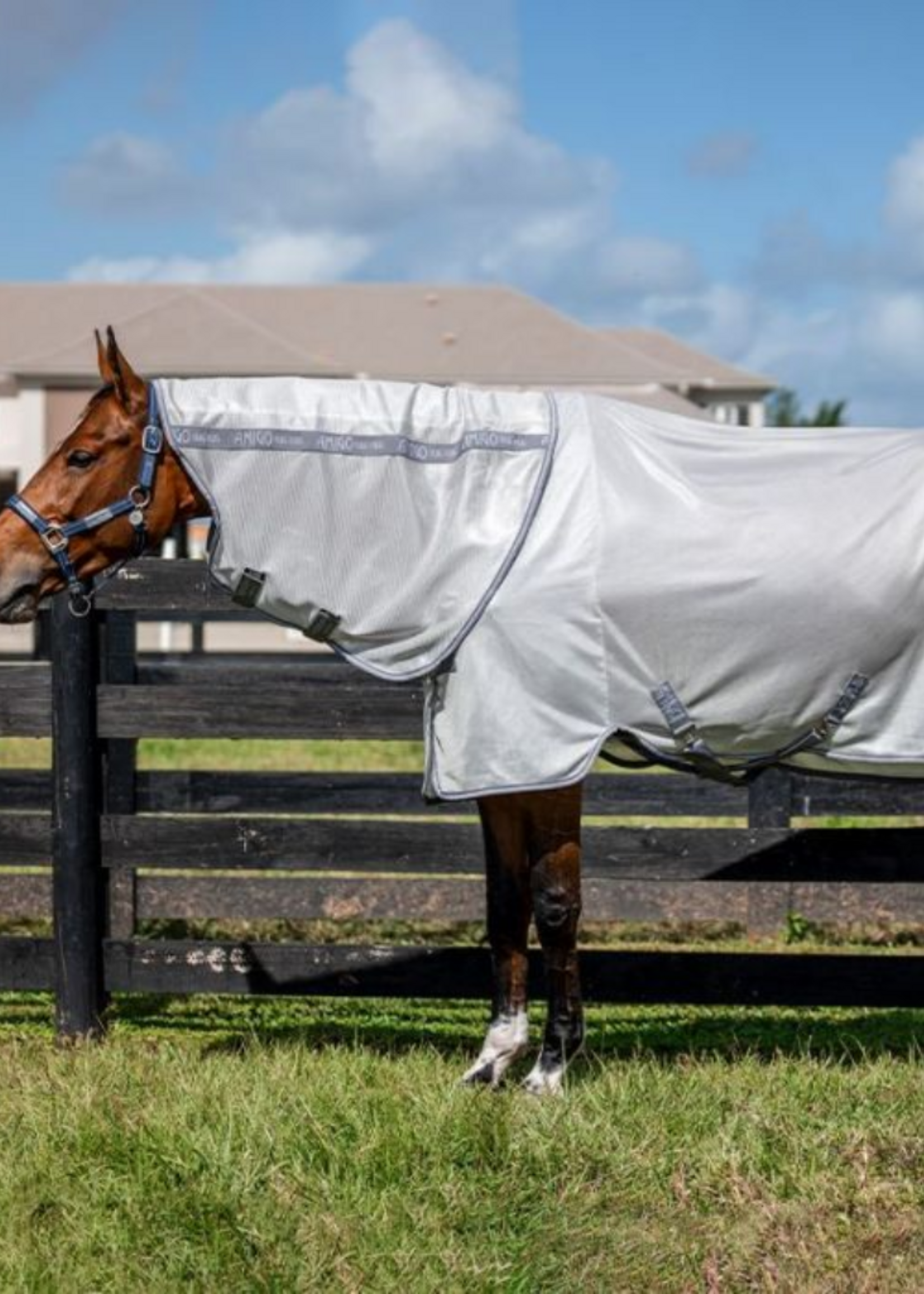 Horseware Horsewarre Amigo Bug Rug Vliegendeken