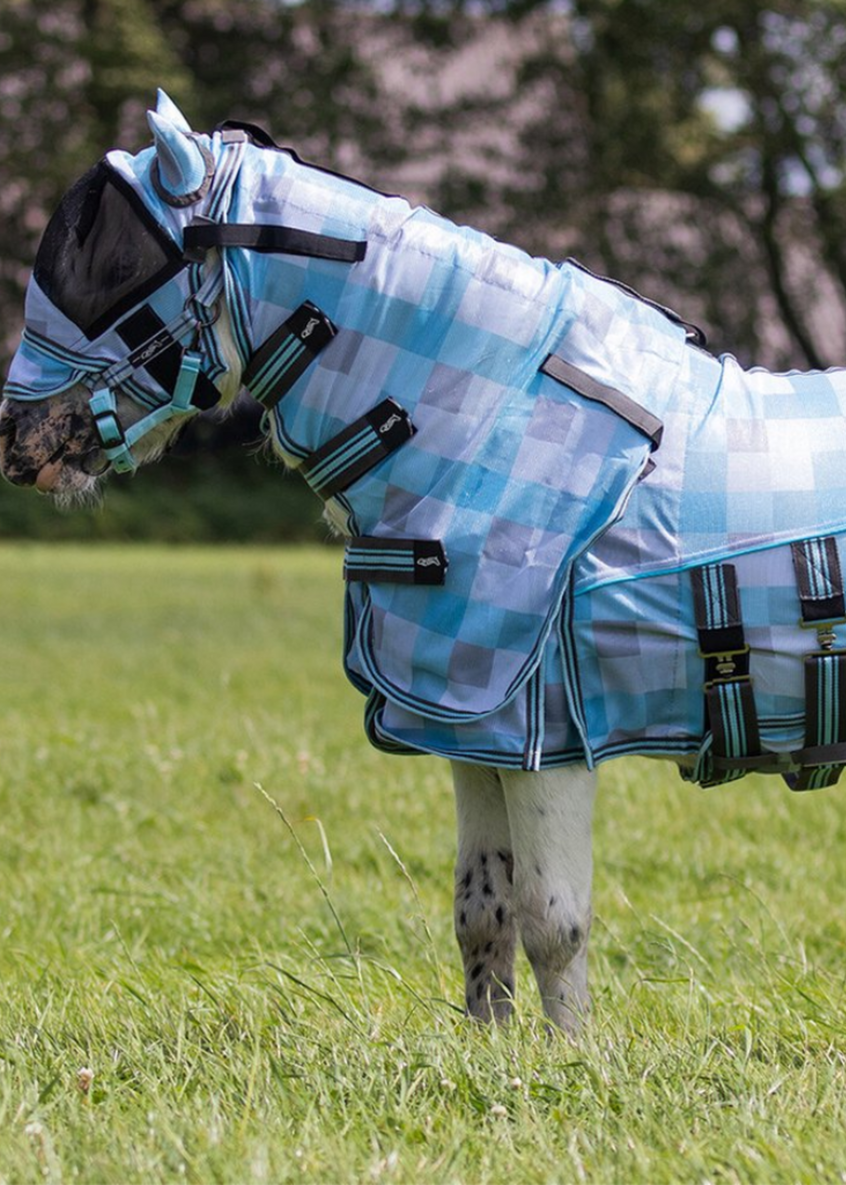 QHP QHP Vliegendeken met nek en kap Falabella 6184
