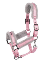 Cavallo Cavallo Jero Halster