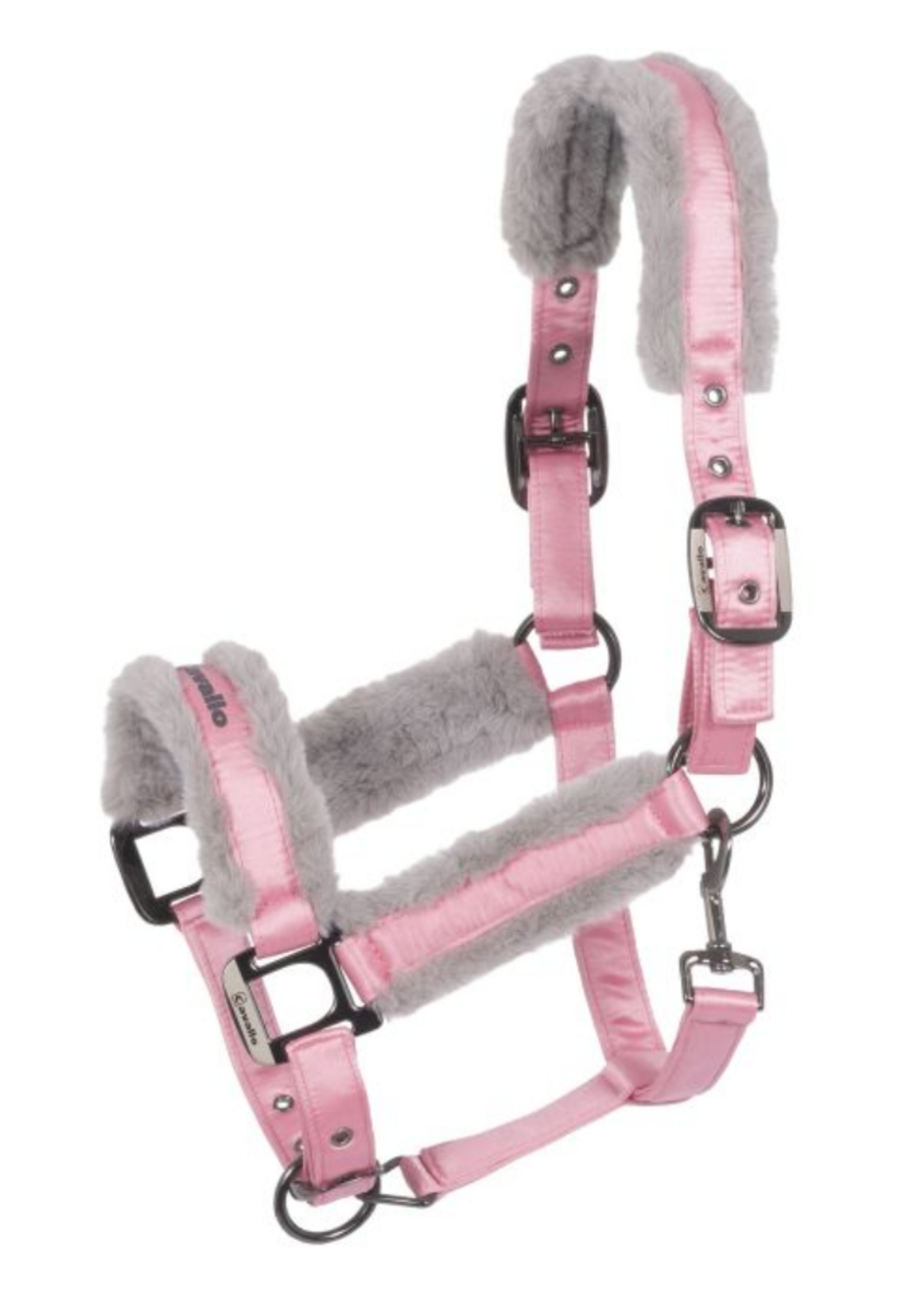 Cavallo Cavallo Jero Halster 4812