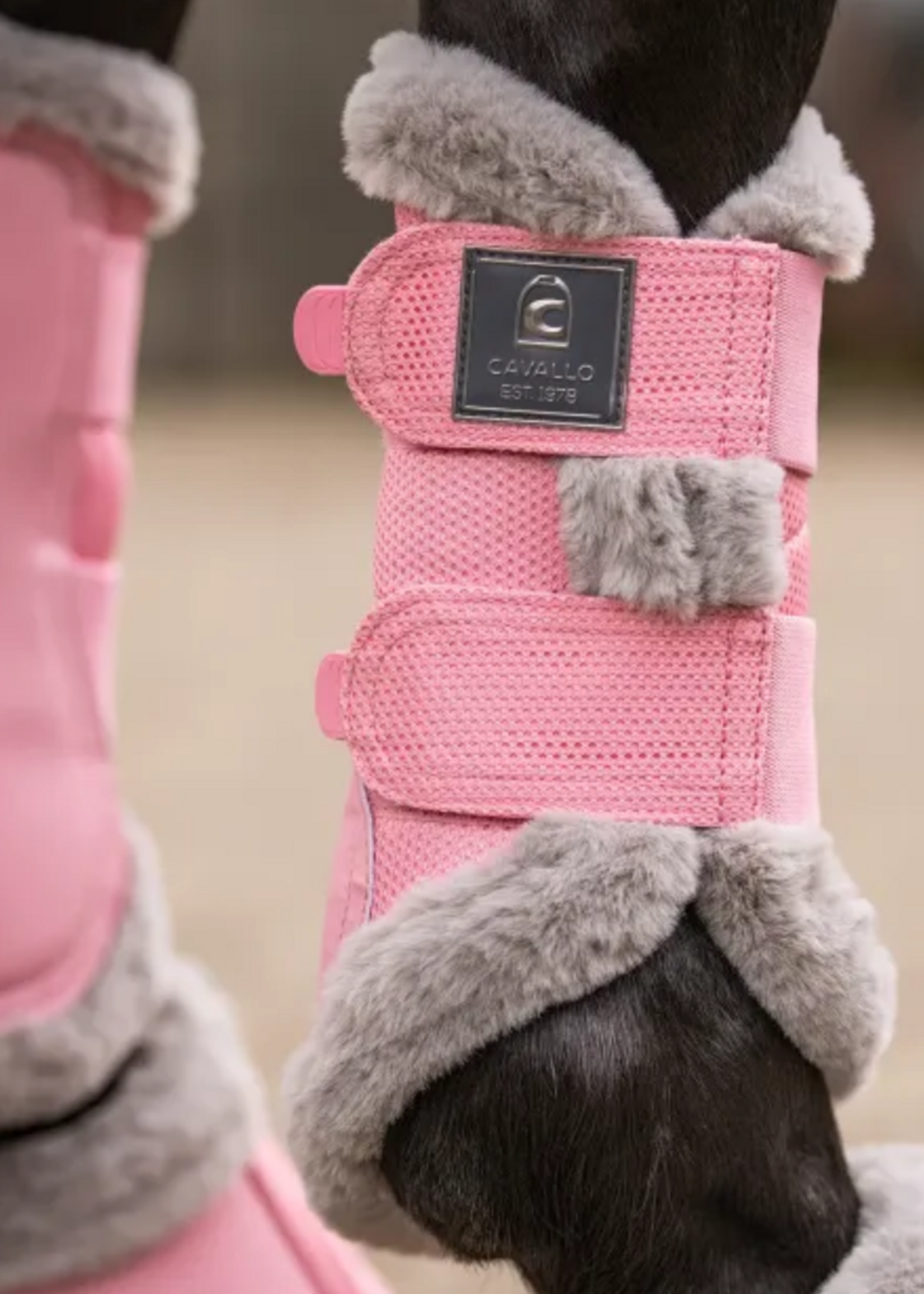 Cavallo Cavallo Joca Beenbeschermers 4673