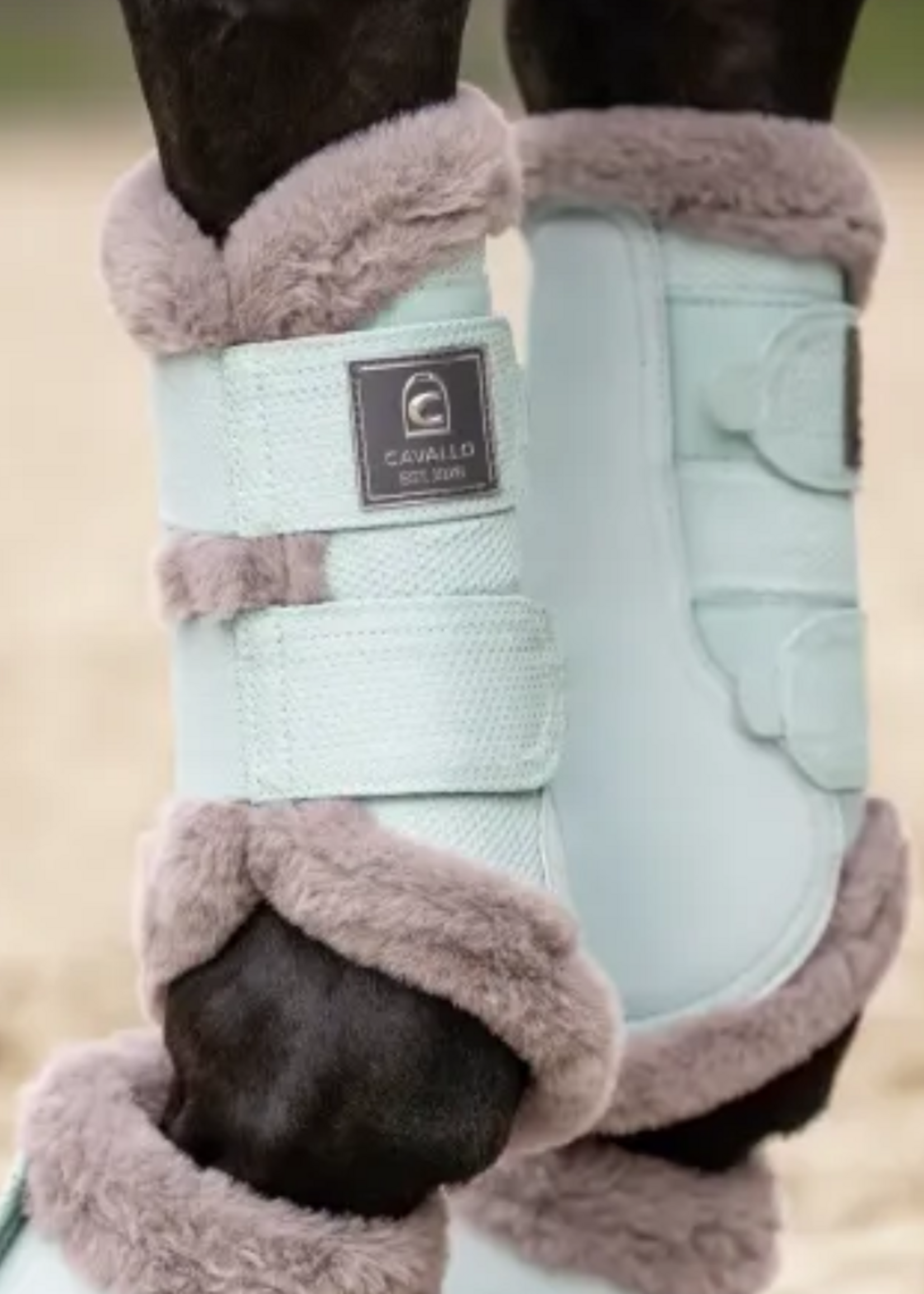 Cavallo Cavallo Joca Beenbeschermers 4673