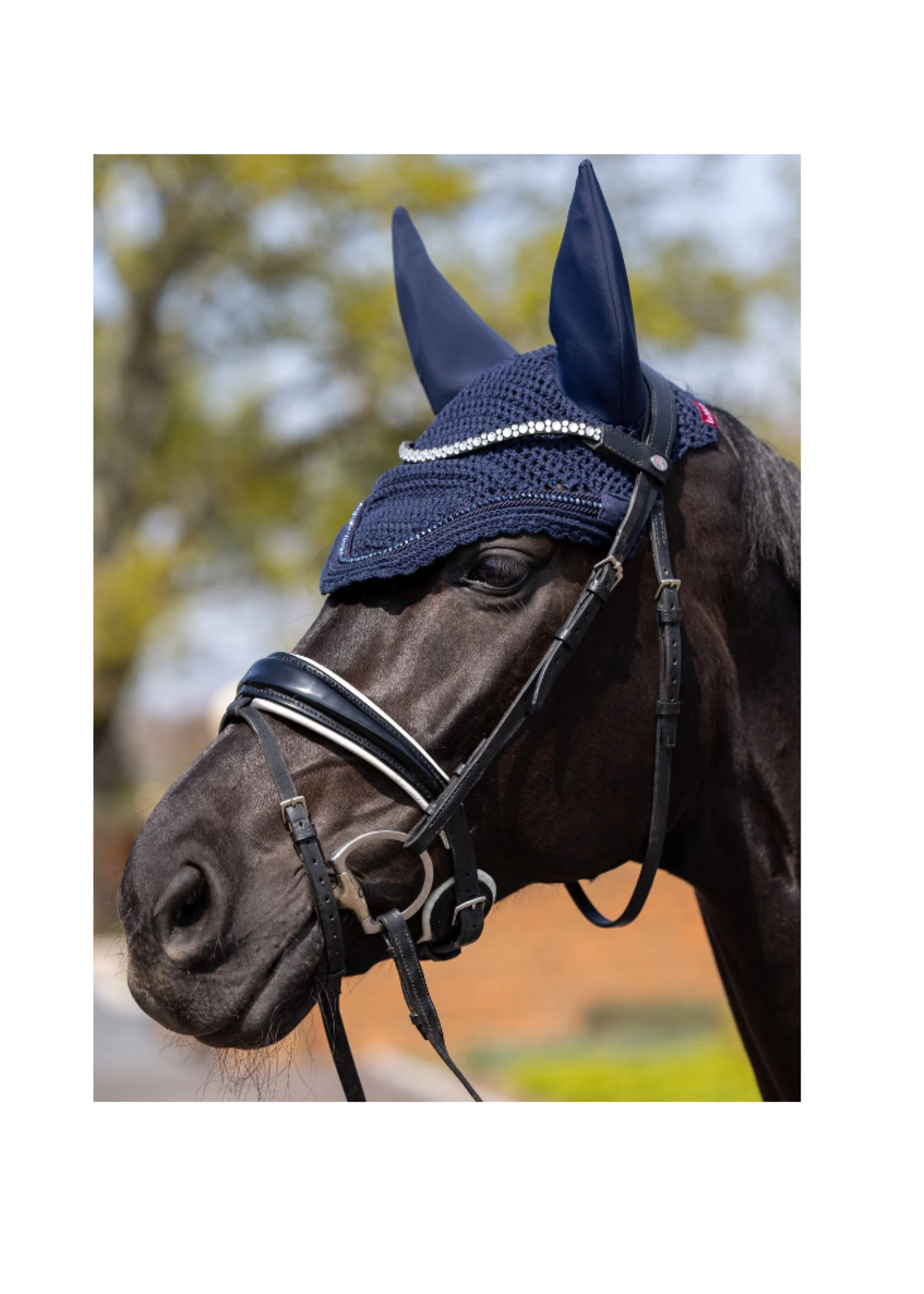 LeMieux Lemieux Soundless Diamante  Oornetje  0081