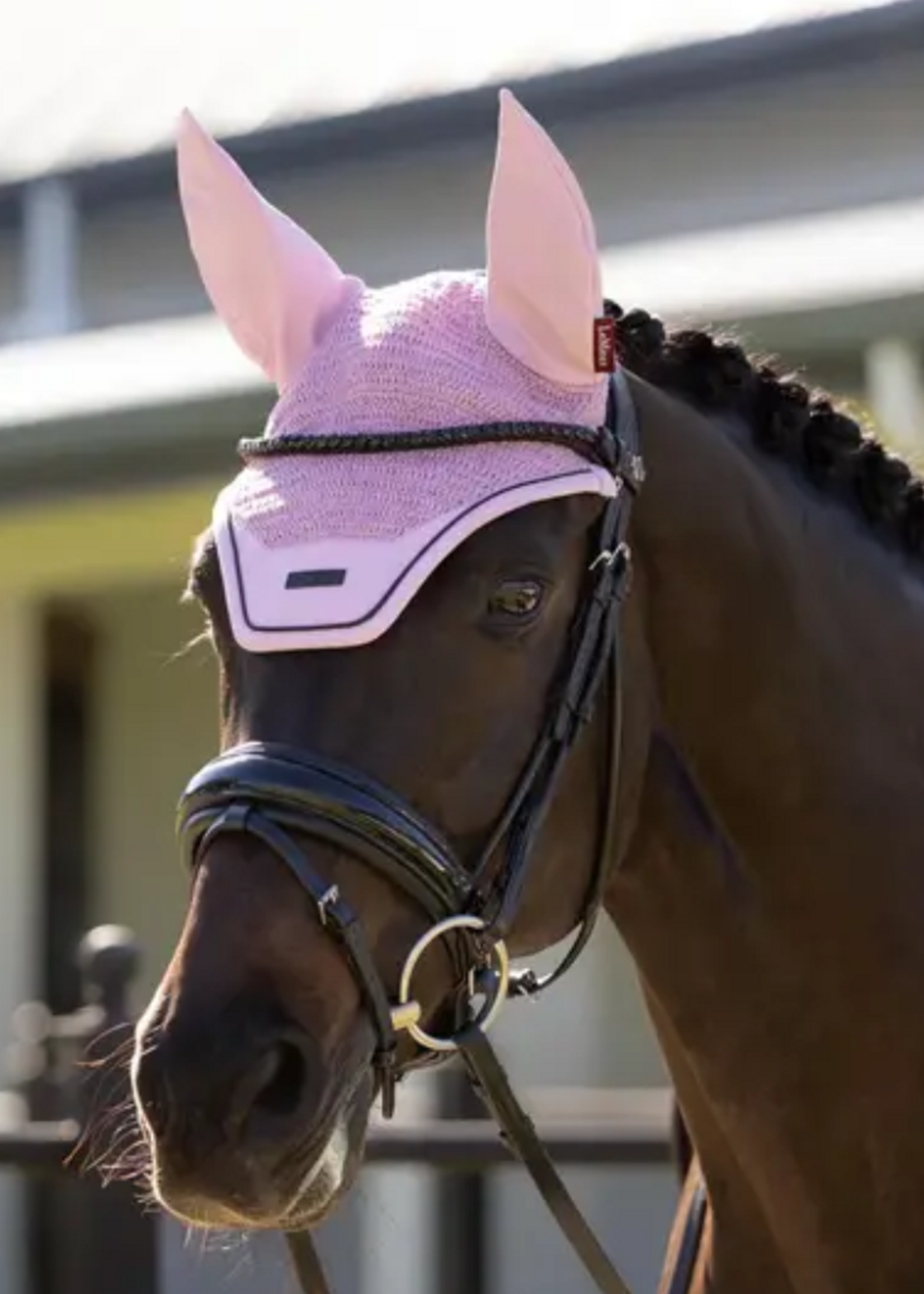 LeMieux Lemieux  Essence  Oornetje