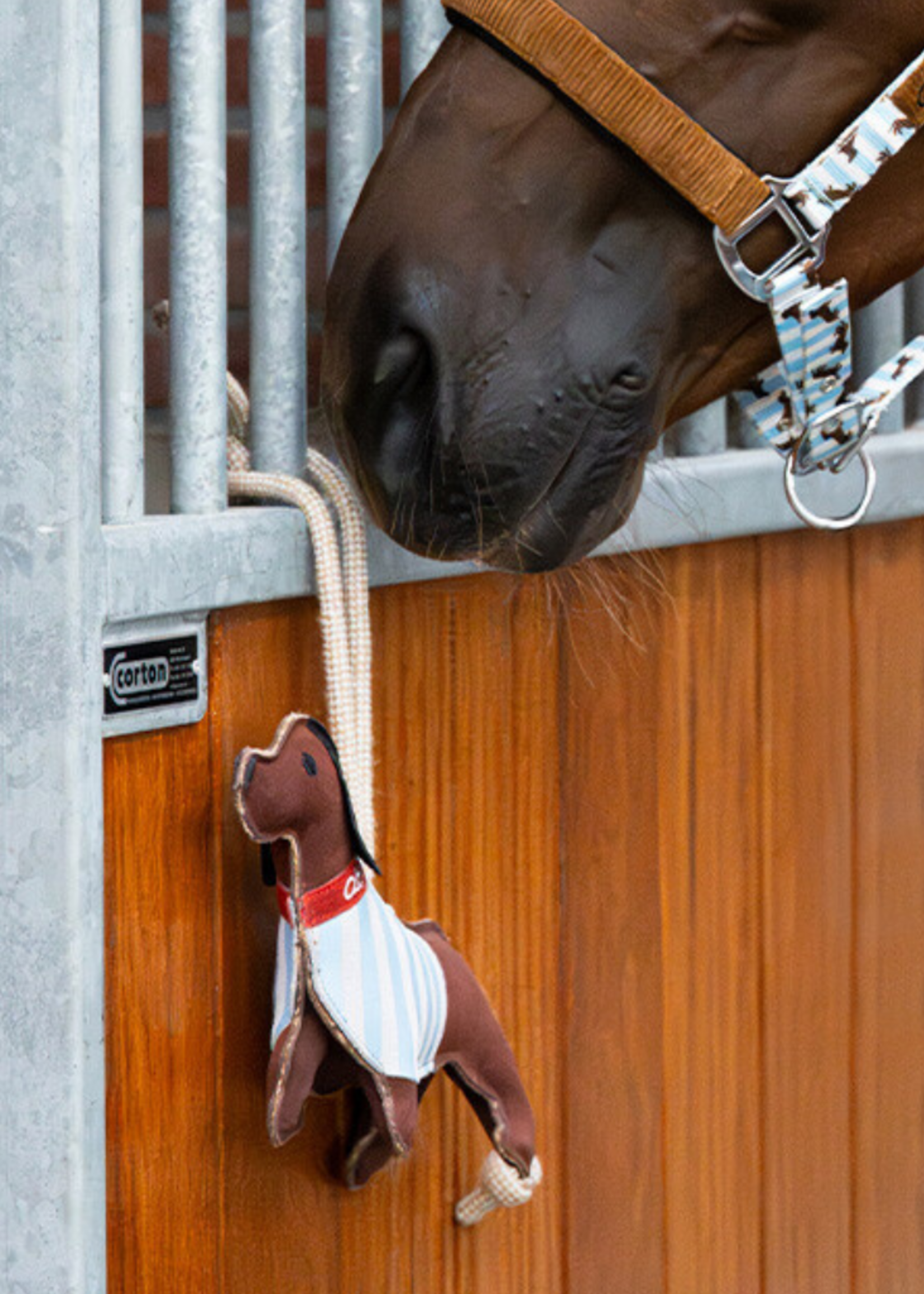 QHP Qhp Paarden Speeltje 5687 Dachshund