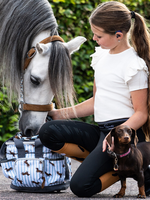 QHP Qhp Poets Tas  Dachshund