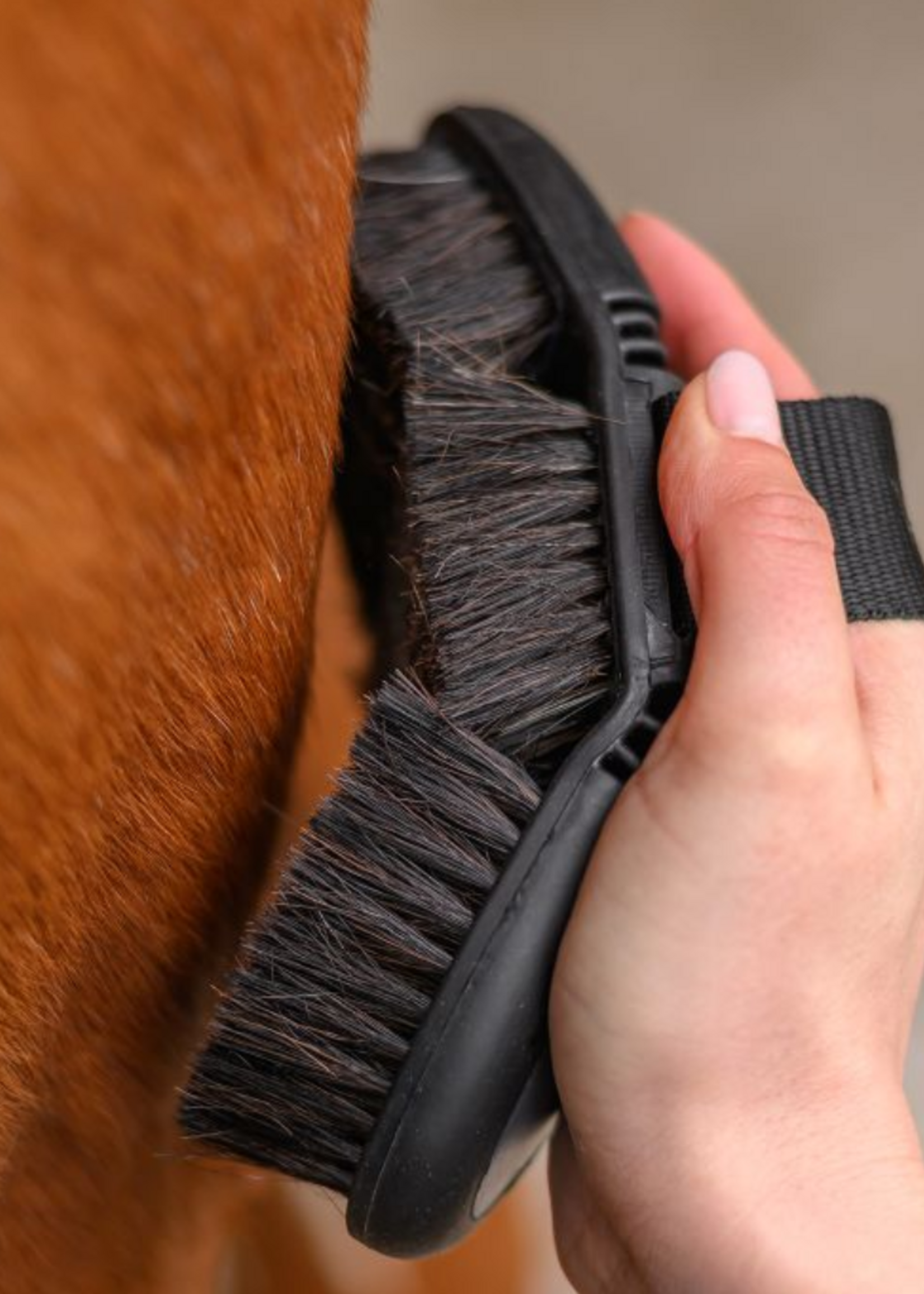 Waldhausen Waldh  Verzorging Paardenhaar  Borstel 38558