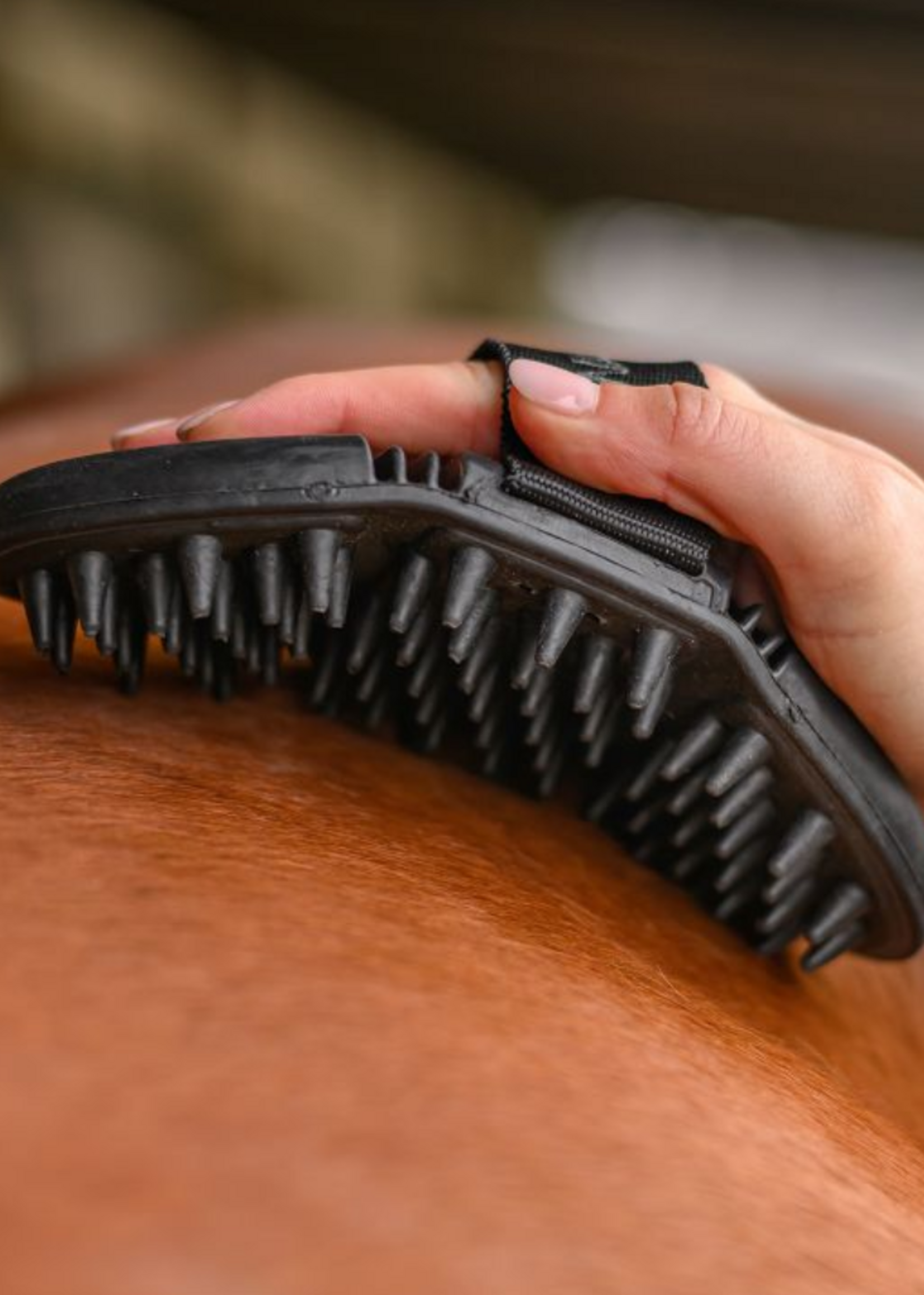 Waldhausen Waldh  Massage  Borstel 38556