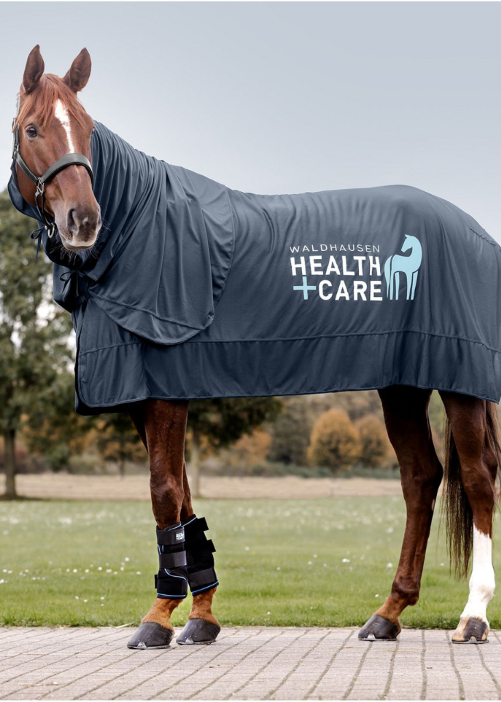 Waldhausen Waldh Health + Care Ice Layer Ijslaag  Hals  63197