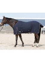 Harry’s horse Harry Zomer Deken