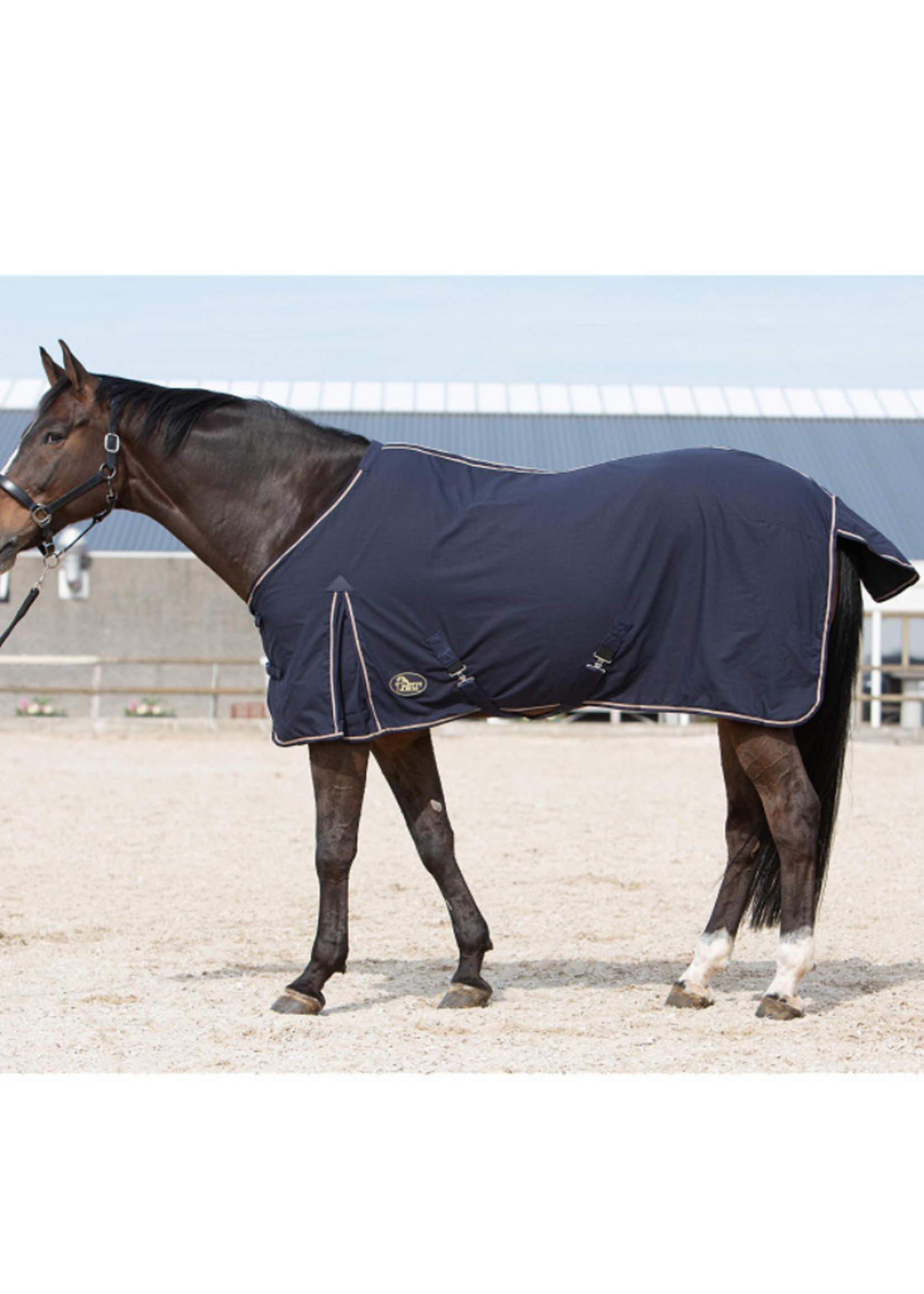 Harry’s horse Harry Zomer Deken 32200019