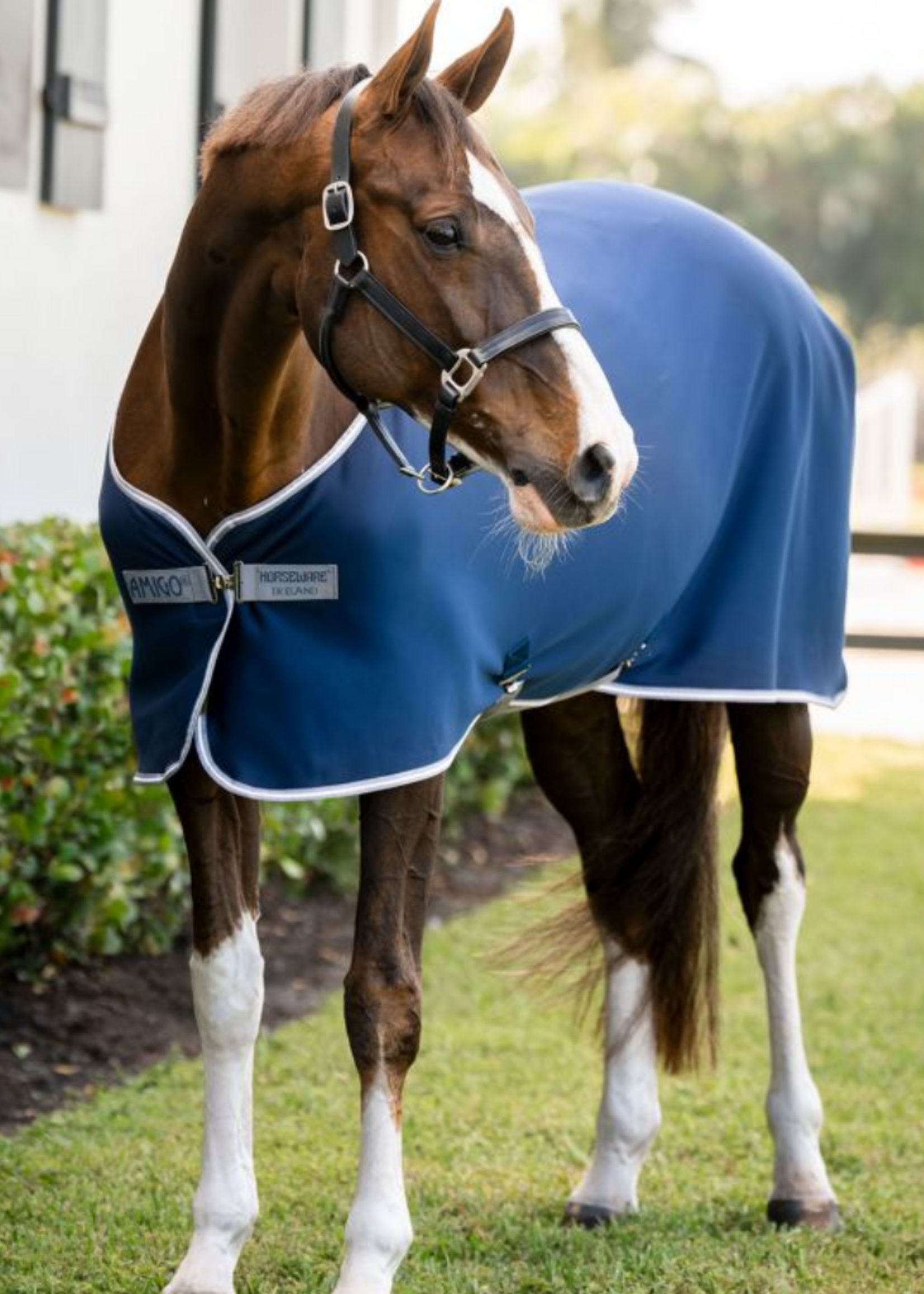 Horseware Horseware Amigo Jersey Cooler