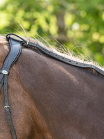 QHP QHP Anti Graas Teugel Riem Zwart Nylon