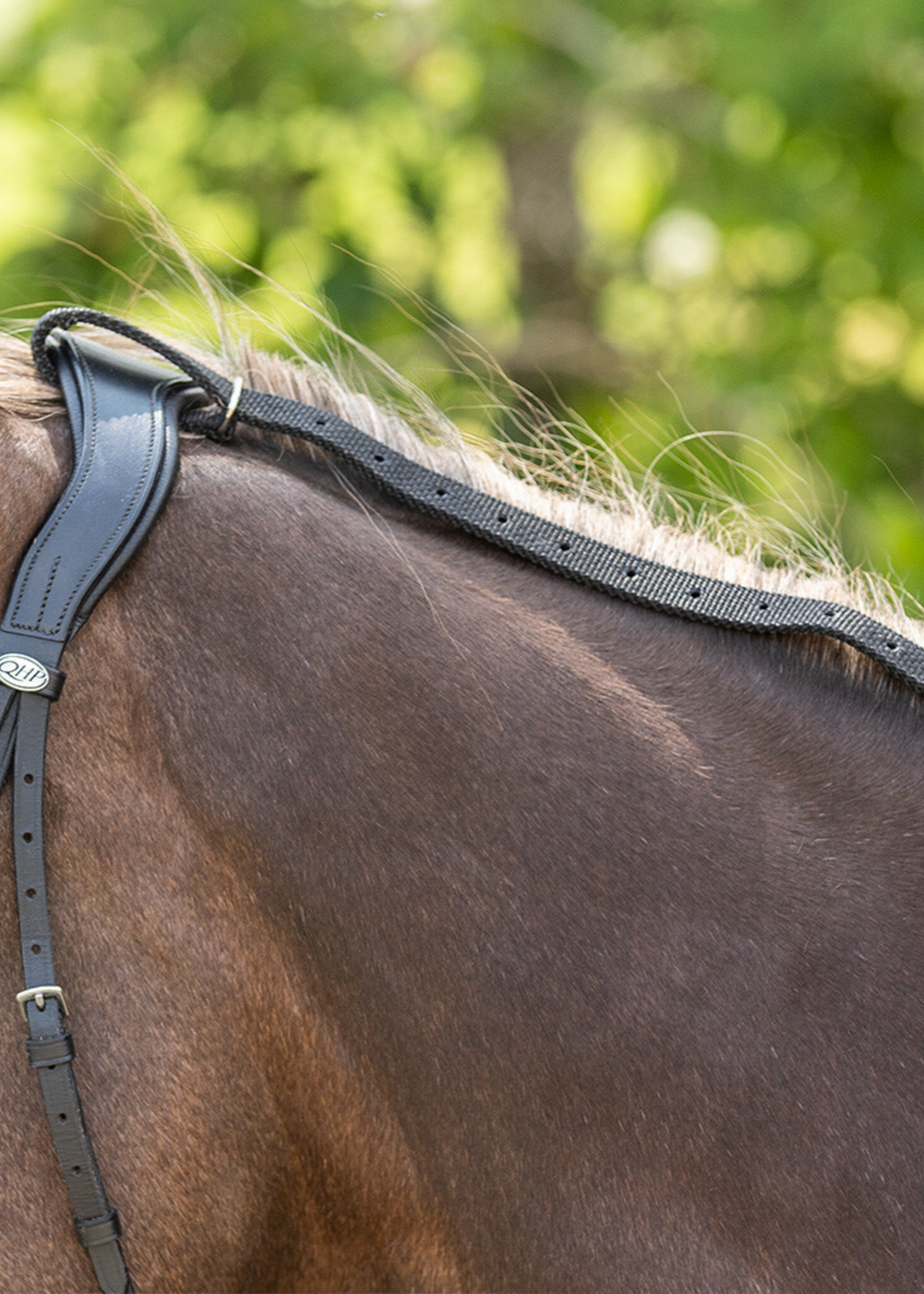 QHP QHP Anti Graas Teugel Riem Zwart Nylon 2187