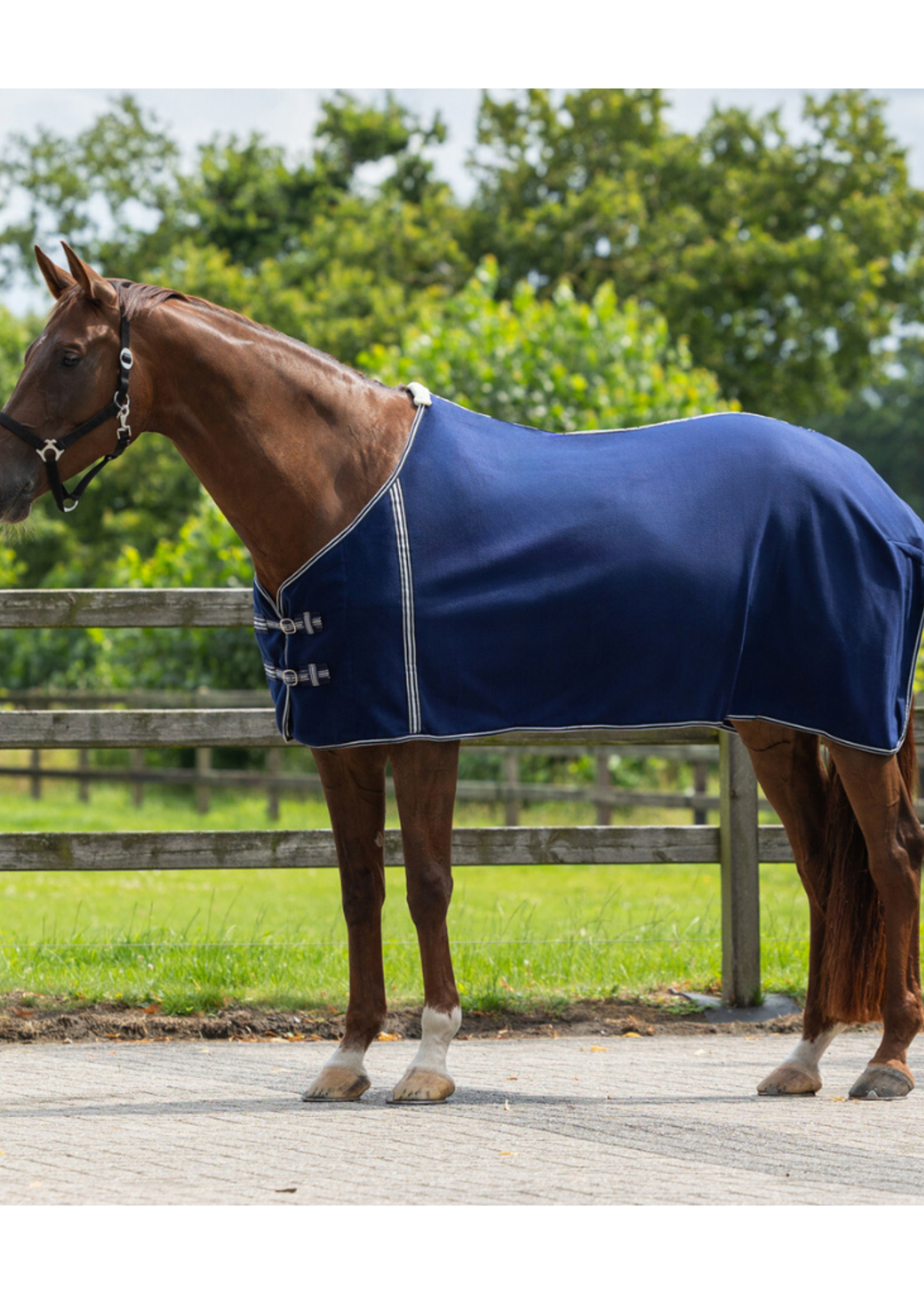 QHP QHP Basis  Fleece Deken 6017