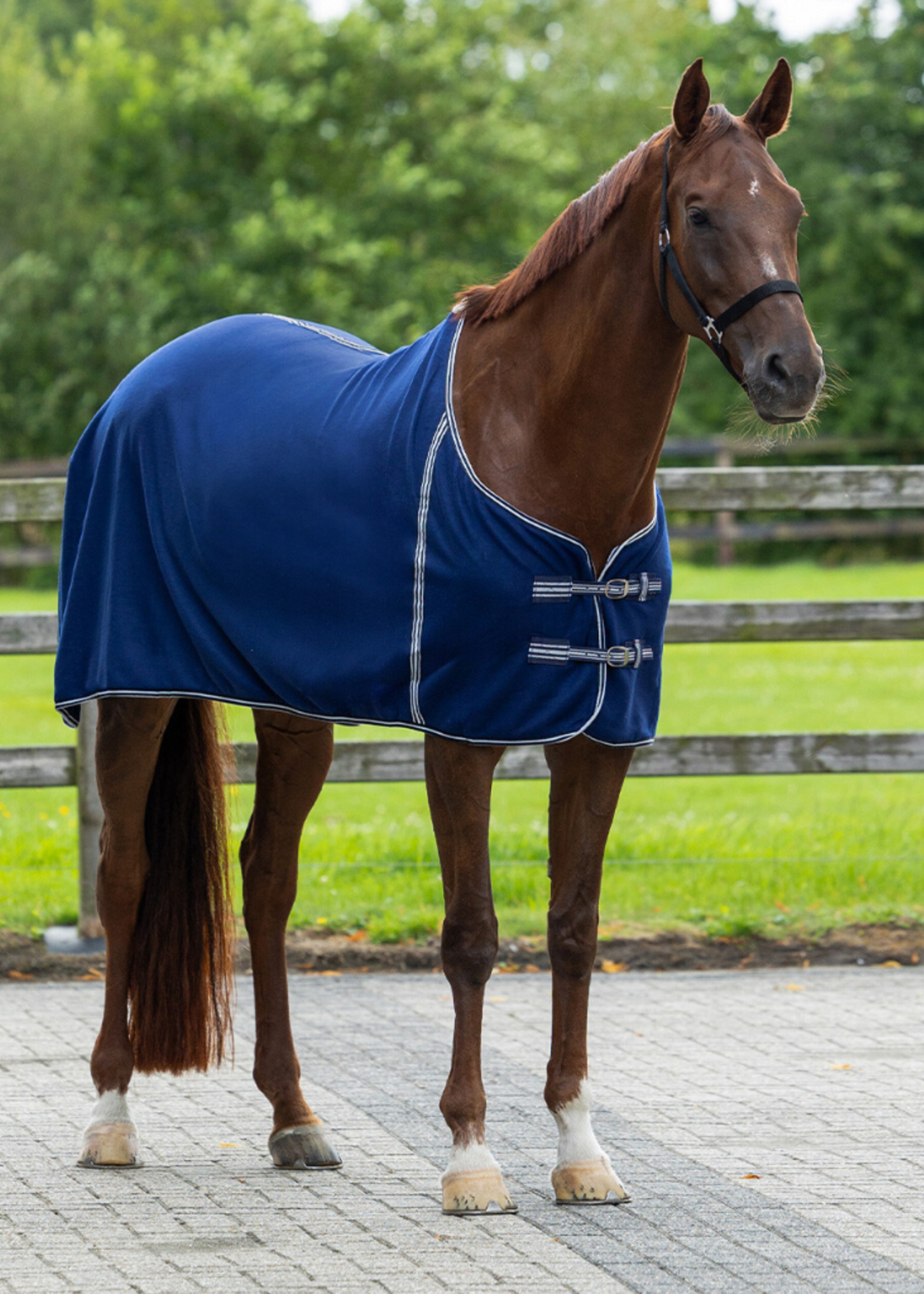 QHP QHP Basis  Fleece  Pony Deken  6017