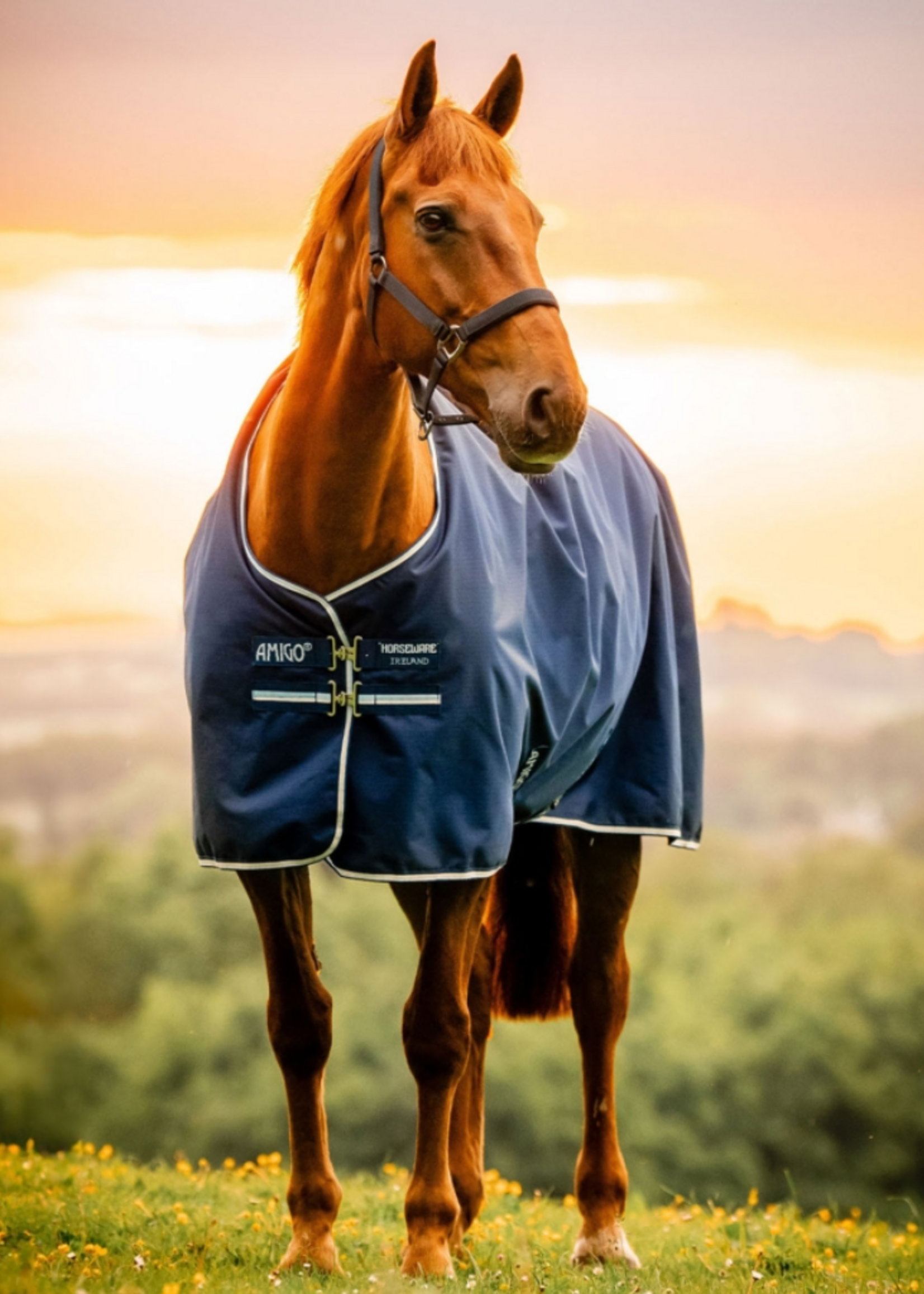 Horseware Horseware Amigo Ripstop 900D  50gr Waterdicht Pony Deken