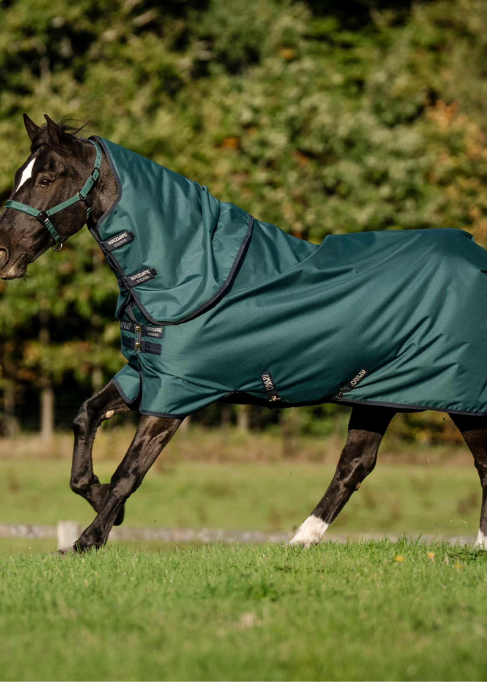Horseware Horseware Amigo Ripstop 900D Plus 100gr Waterdicht Pony Deken