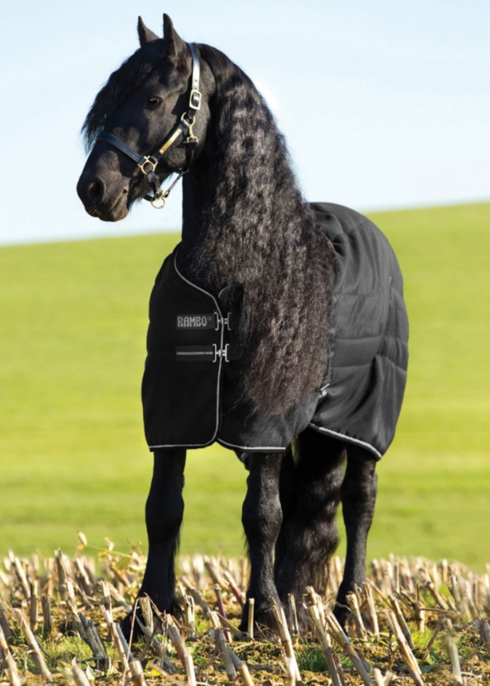 Horseware Horseware Rambo  Stal Deken 200gr