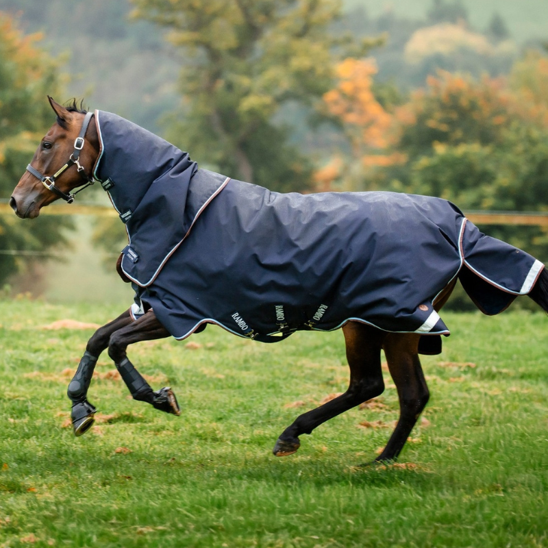 Zo houd je je paardendeken in goede conditie 