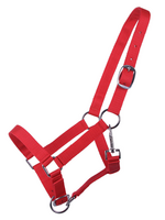 QHP QHP Halster Jaarling