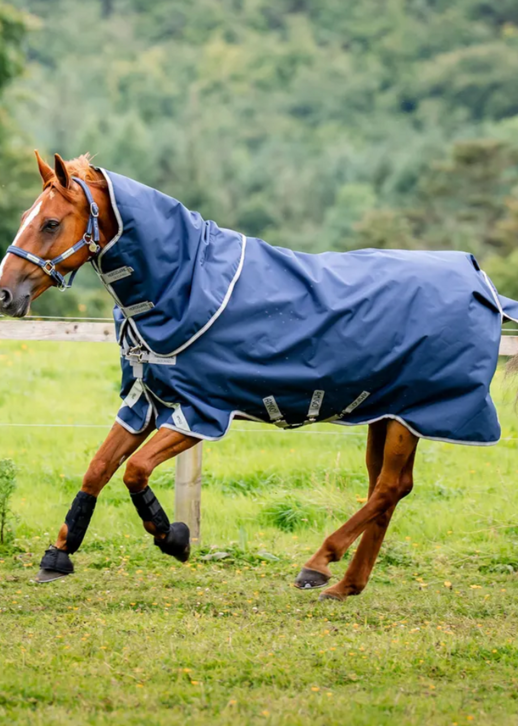 Horseware Horseware Amigo 1200D Plus 400gr Waterdicht Deken