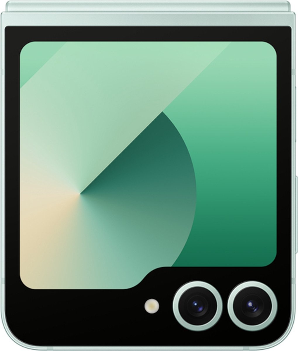 Galaxy Z Flip 6 | 256GB | Mint - Buitenkansje!