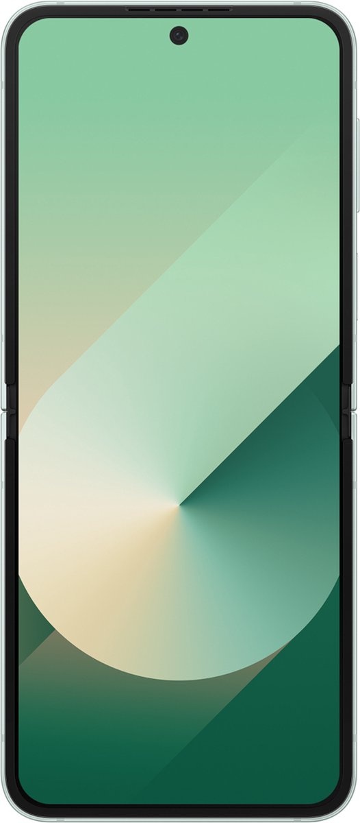 Galaxy Z Flip 6 | 256GB | Mint - Buitenkansje!