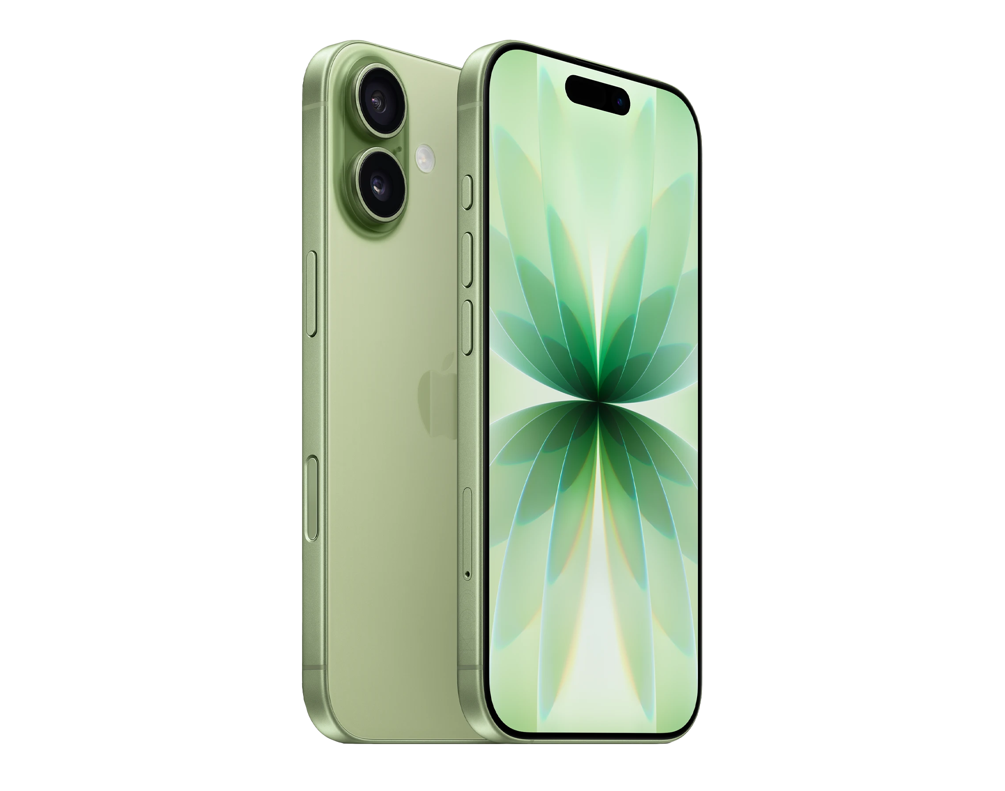 iPhone 17 | 256GB | Green