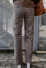 Jeans Mora Leo