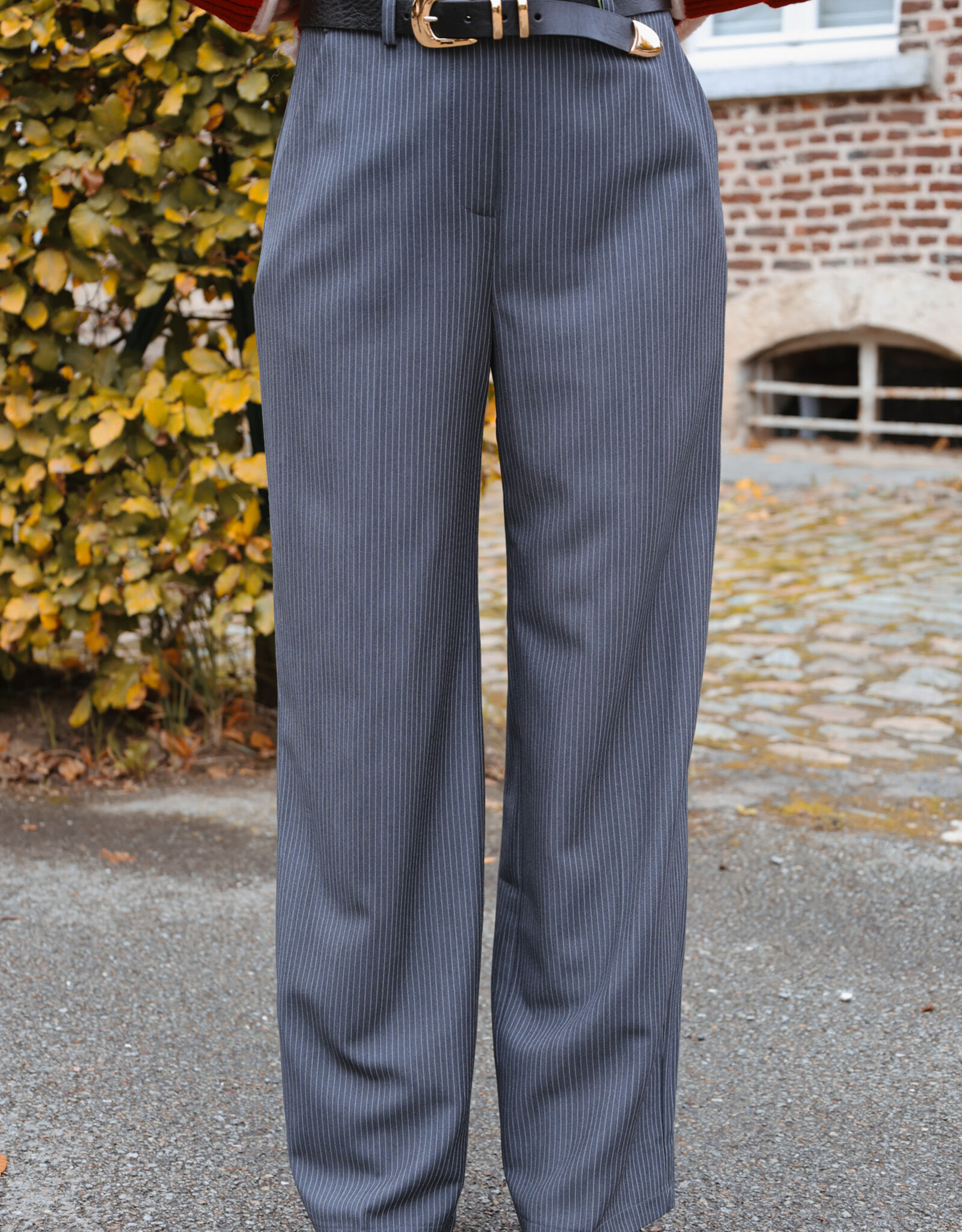 Pantalon Parotti Ligné