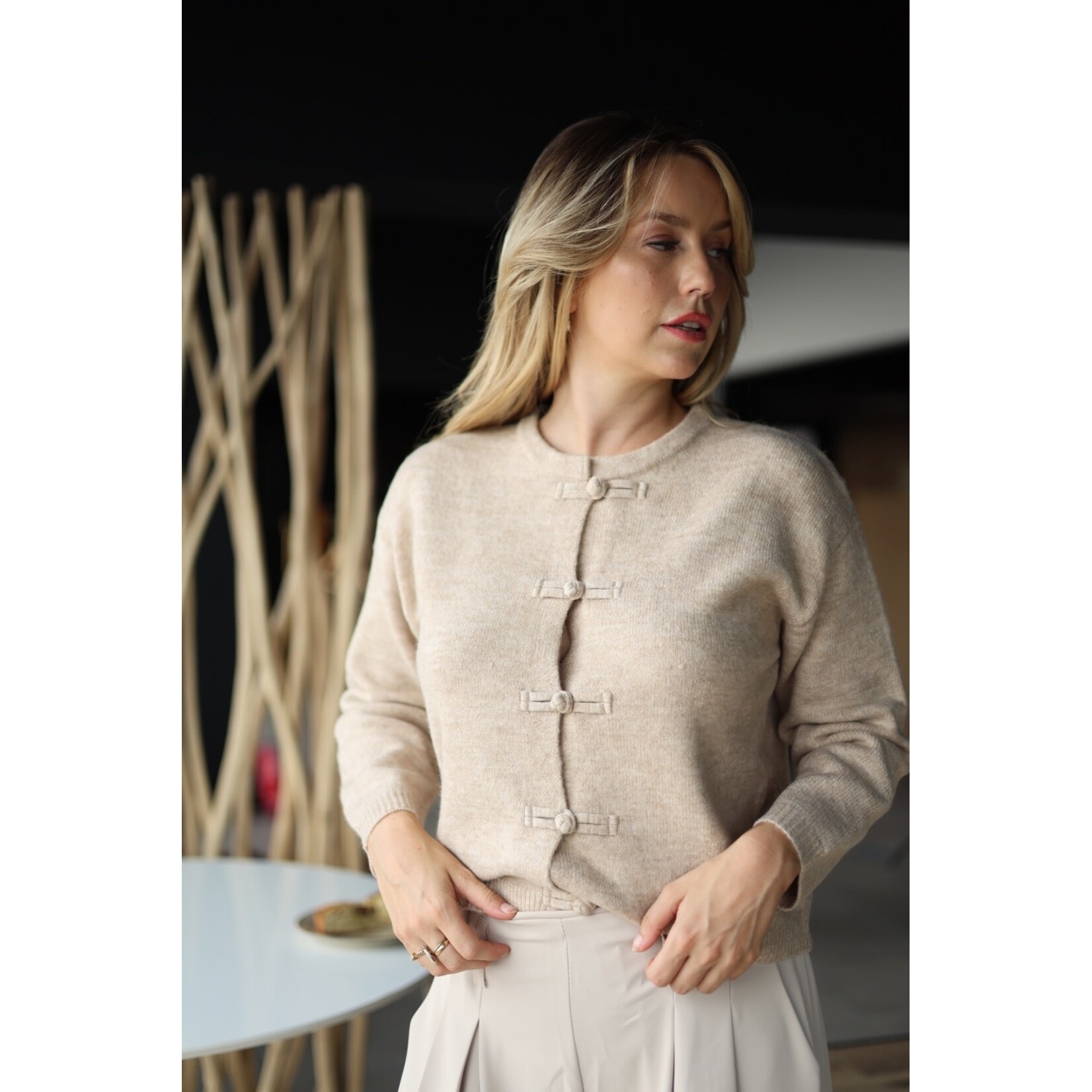 Pull Gilet Palana