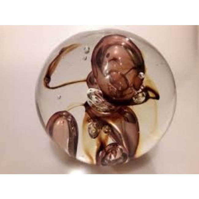 Floris Meydam - Leerdam Serica Bol