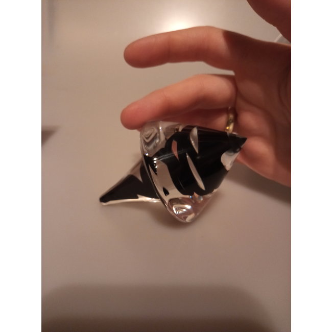 Siem van der Marel - Leerdam Serica