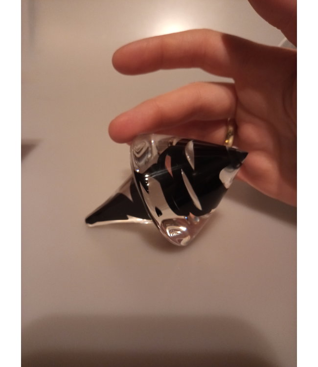 Siem van der Marel - Leerdam Serica